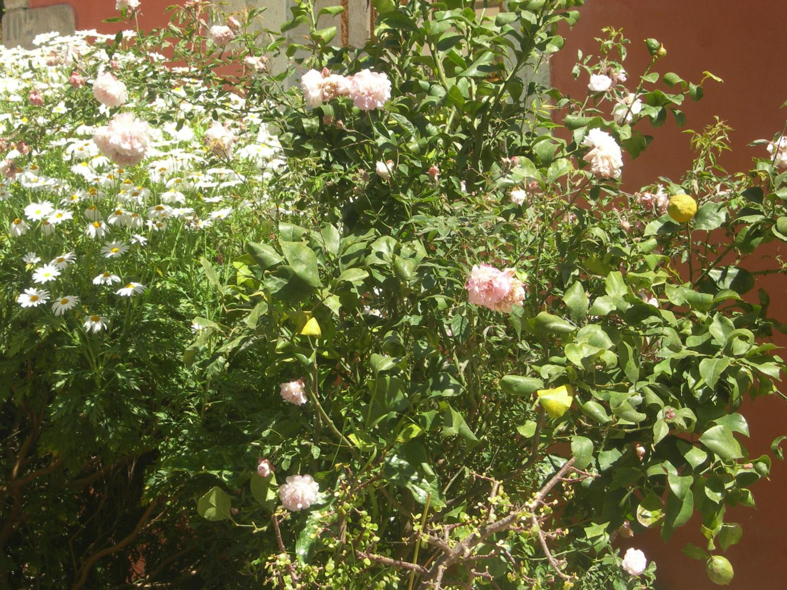 Photo 27