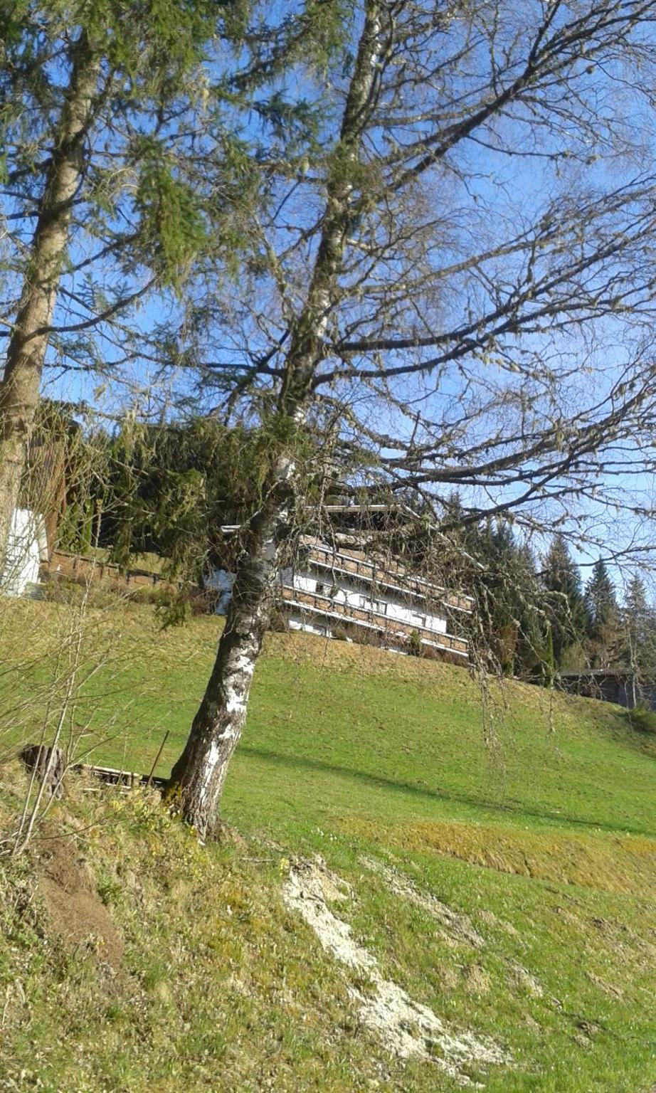 Pension Chalet Bergseegut