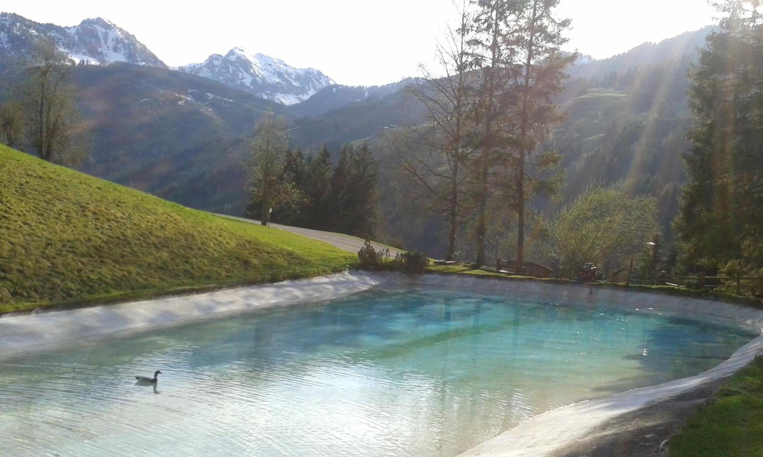 Pension Chalet Bergseegut