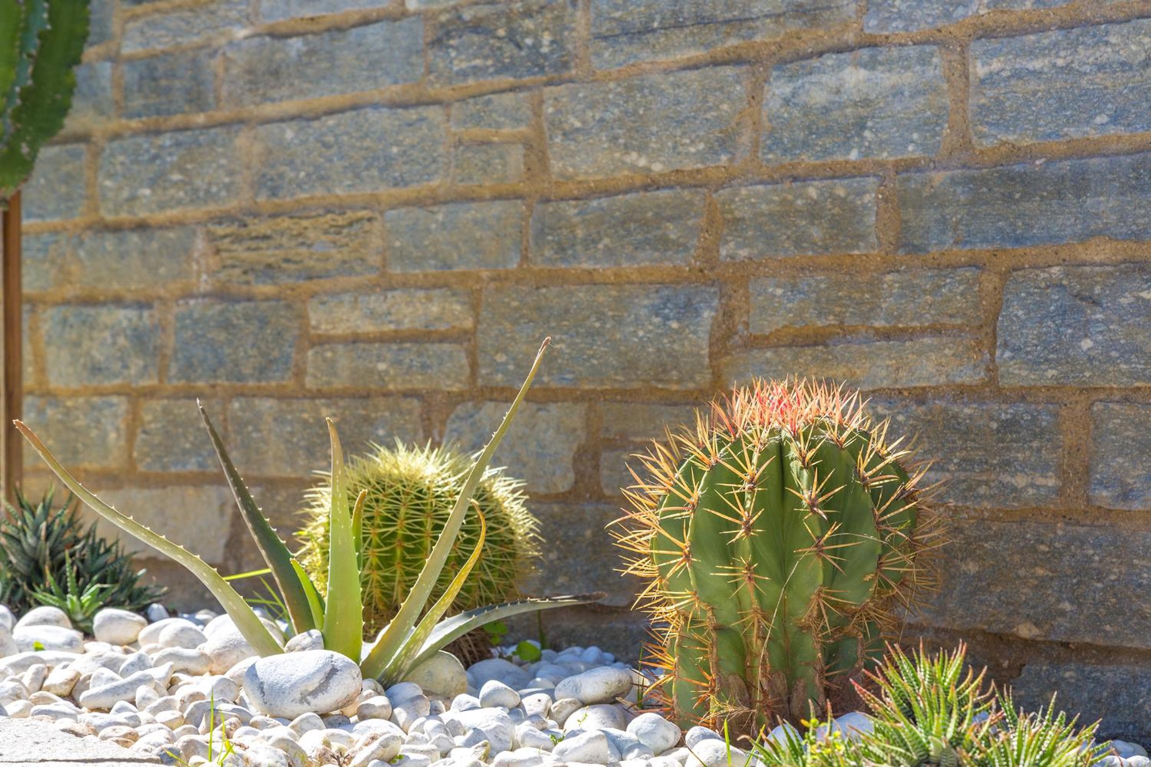 Photo 49