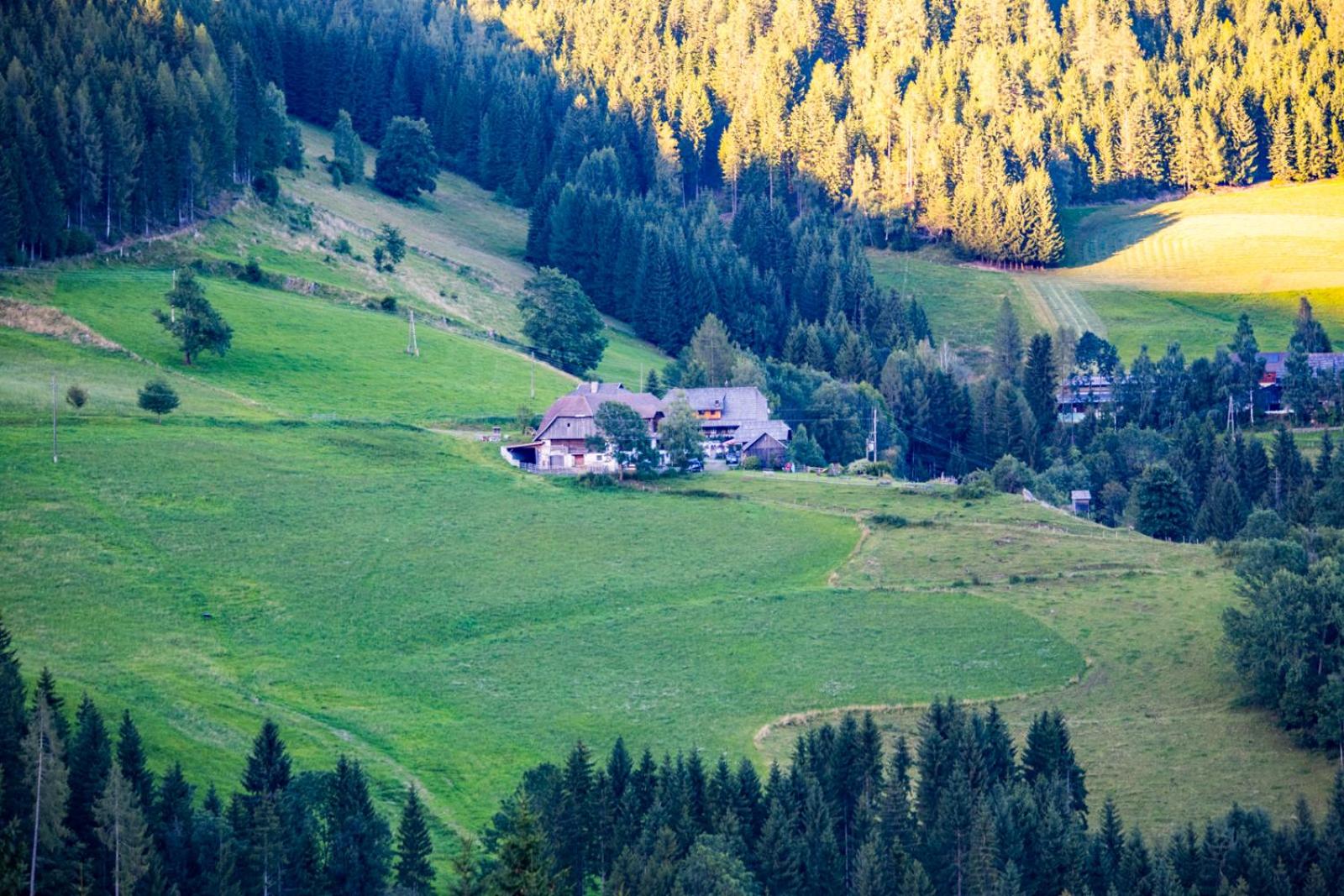 Surtmannhof