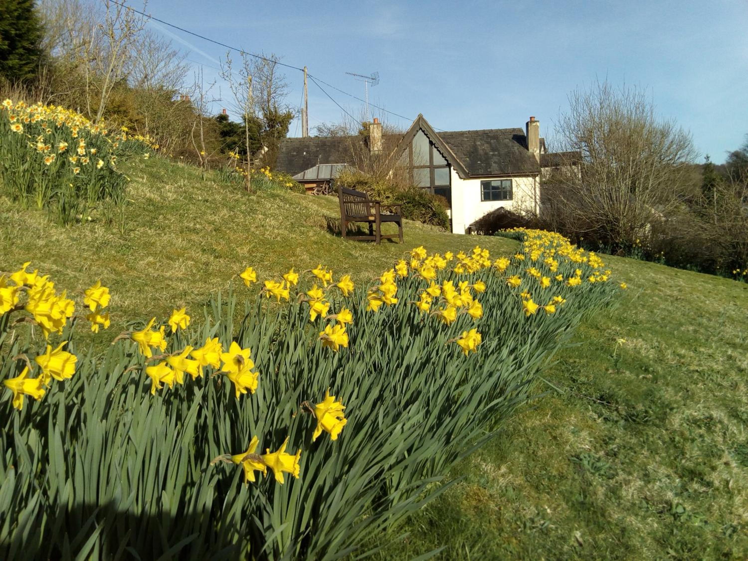 Photo 16
