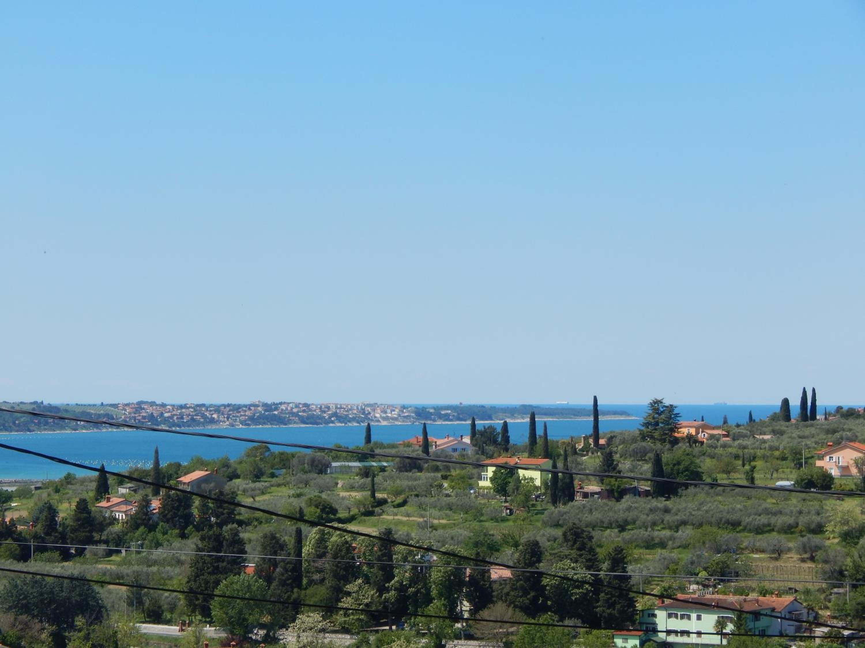 Photo 44