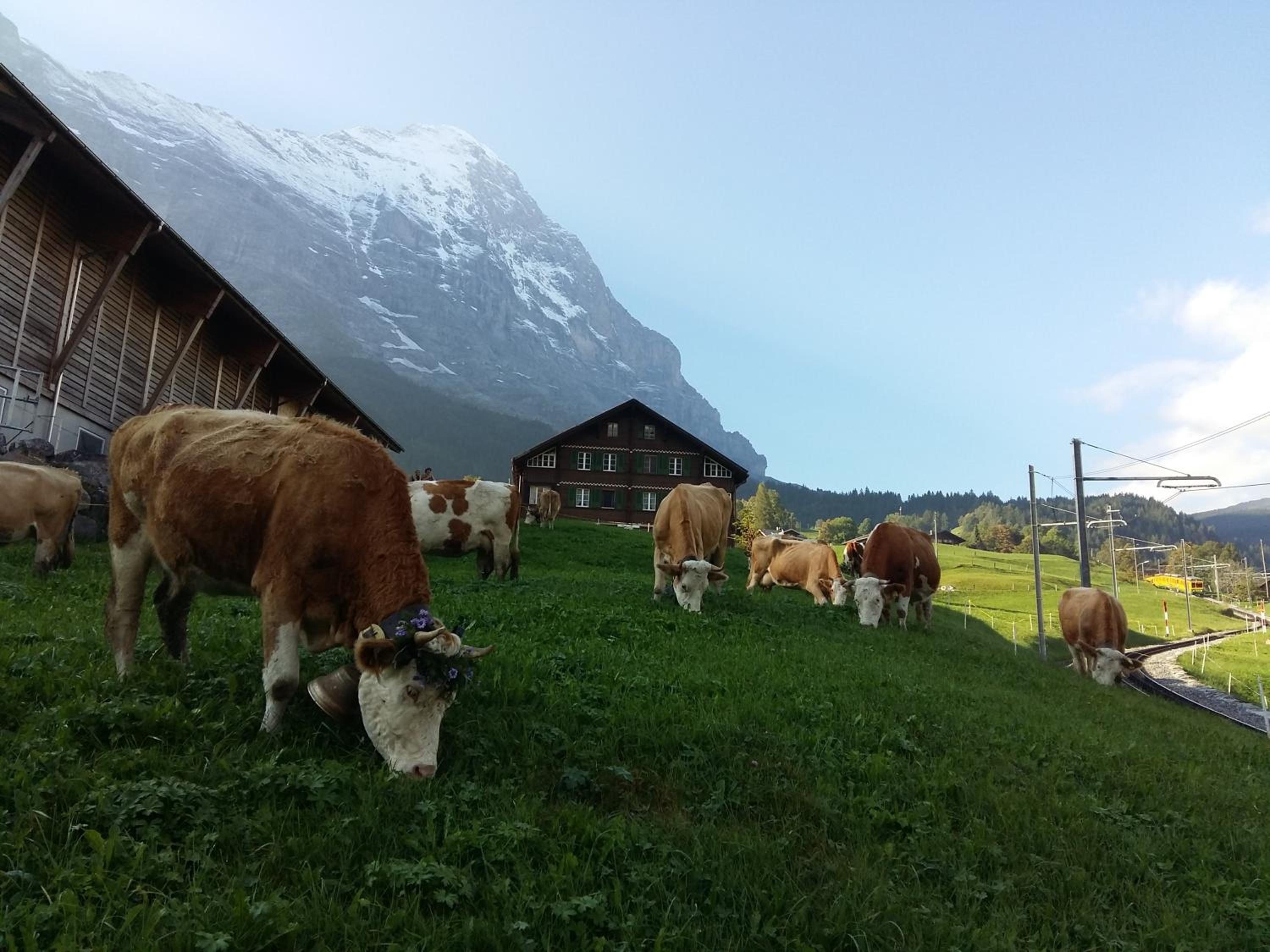 Chalet Bärgblick