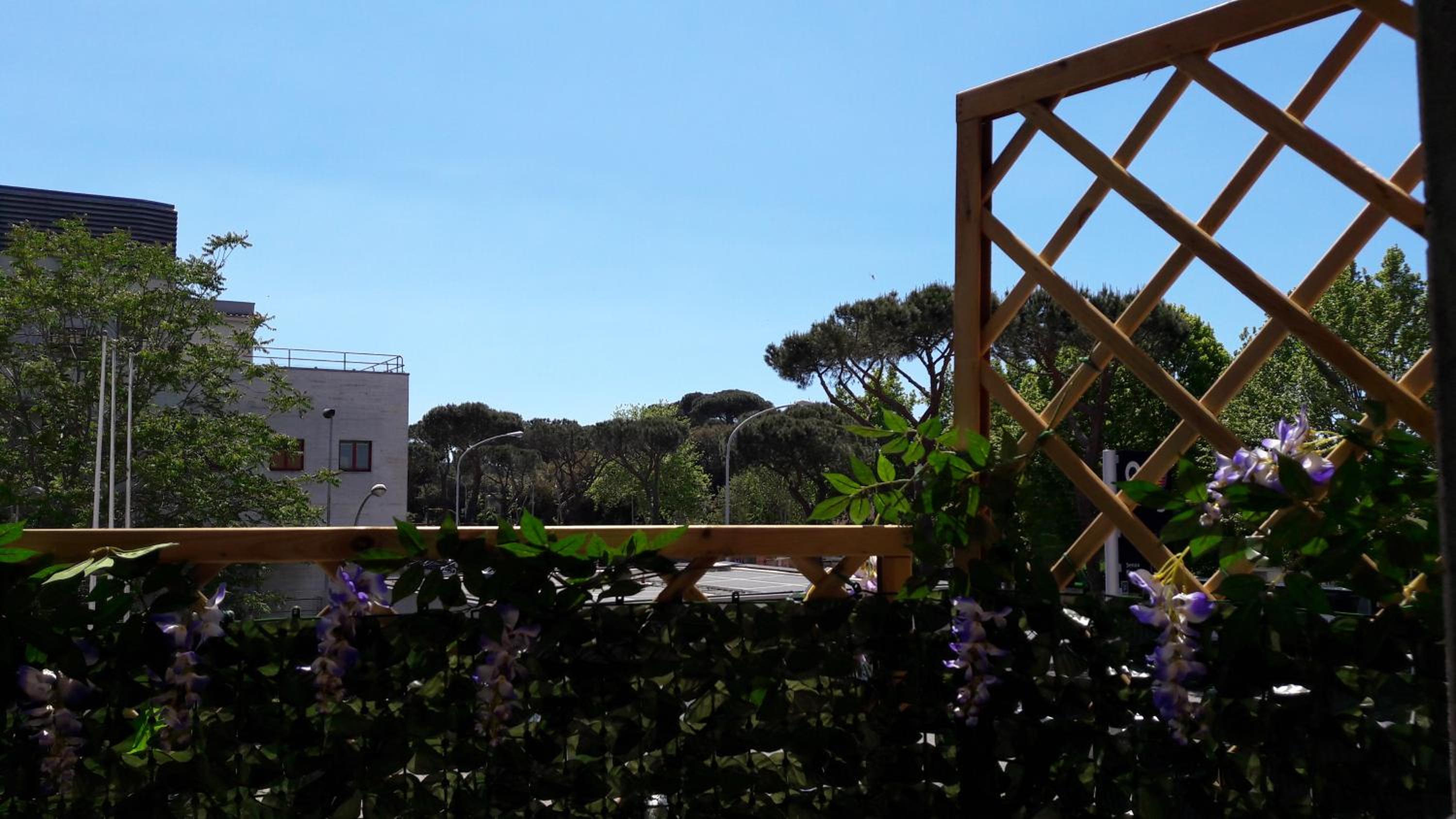 Il Sogno in Rome