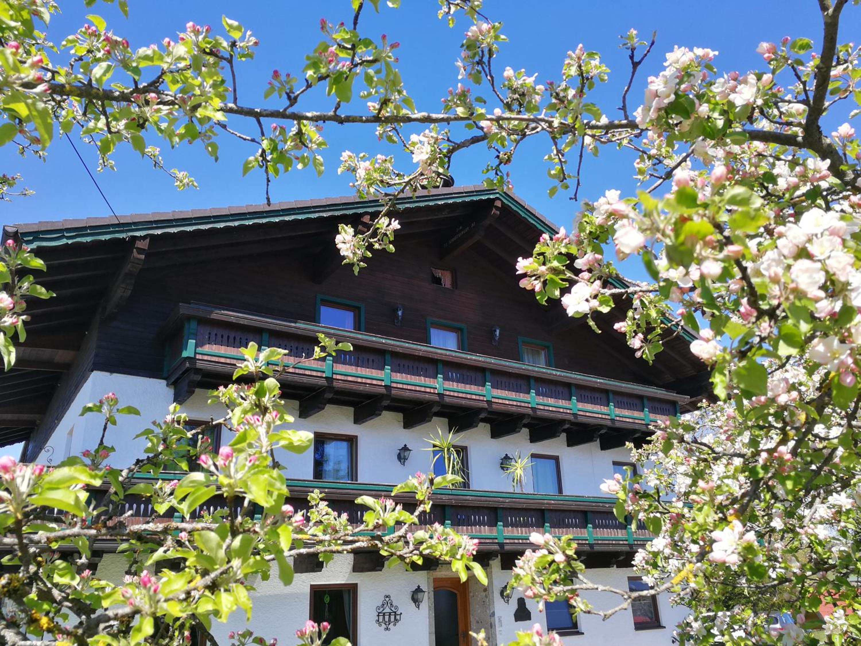 Schusterbauer