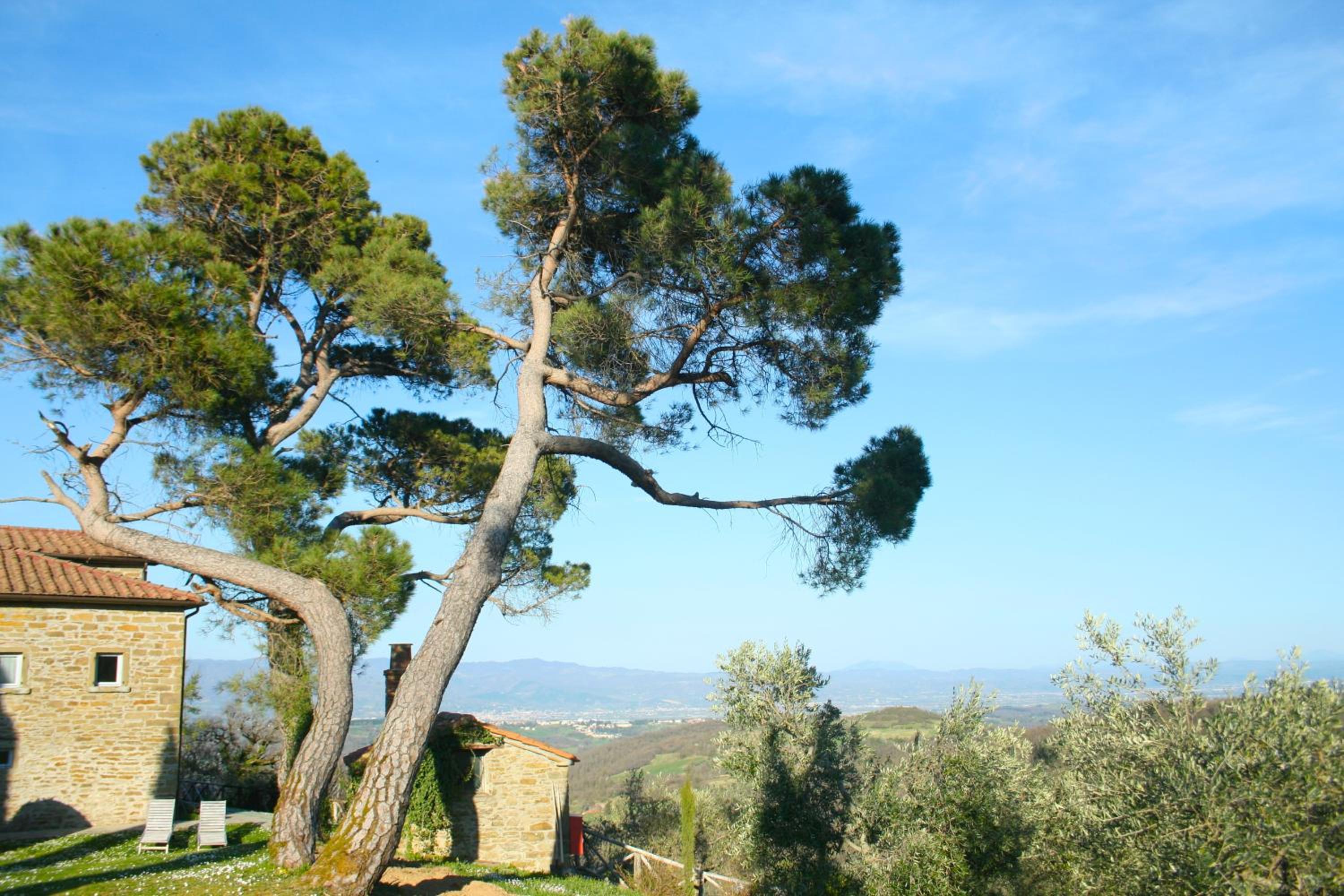 Relais Il Pozzeto