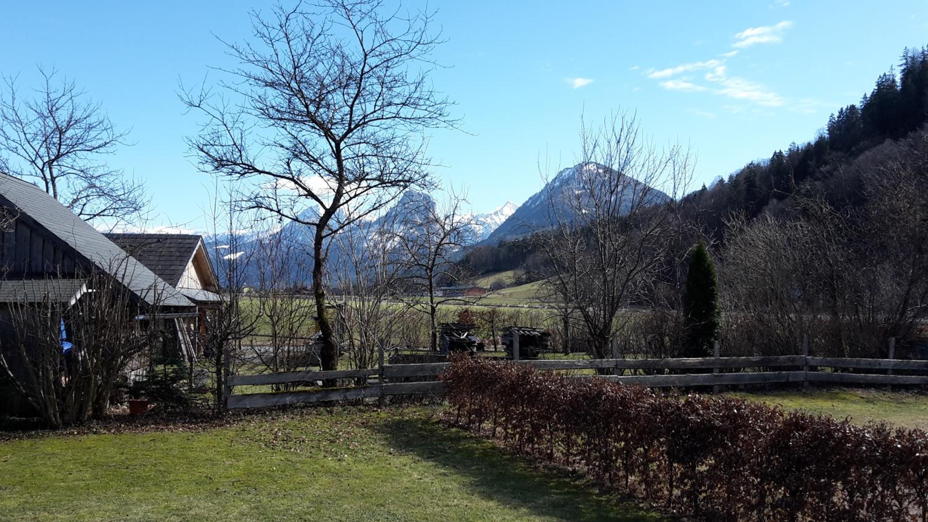 Photo 23