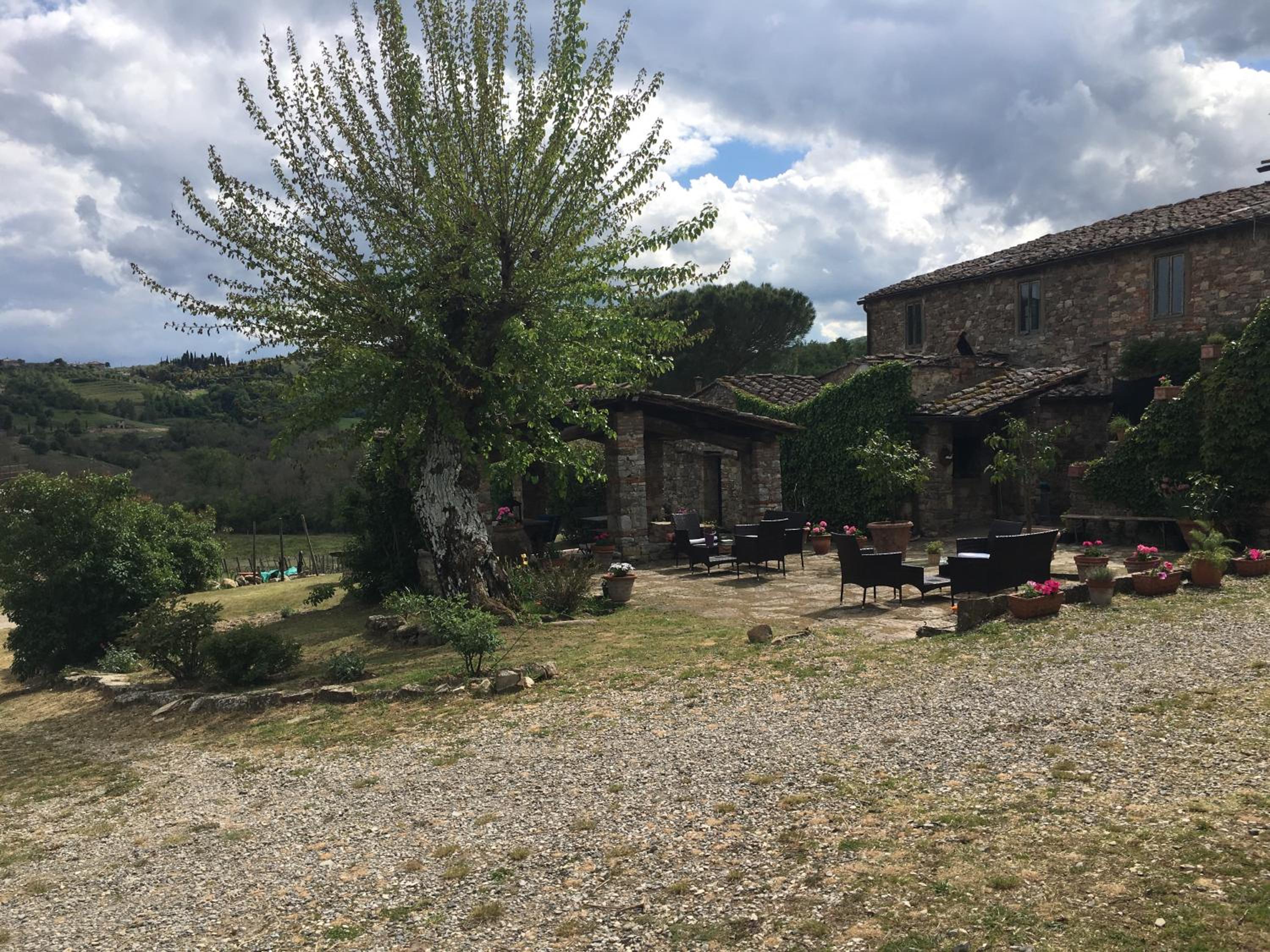 Radda in Chianti Vacations - Podere Terreno alla via della volpaia - Property Image 85
