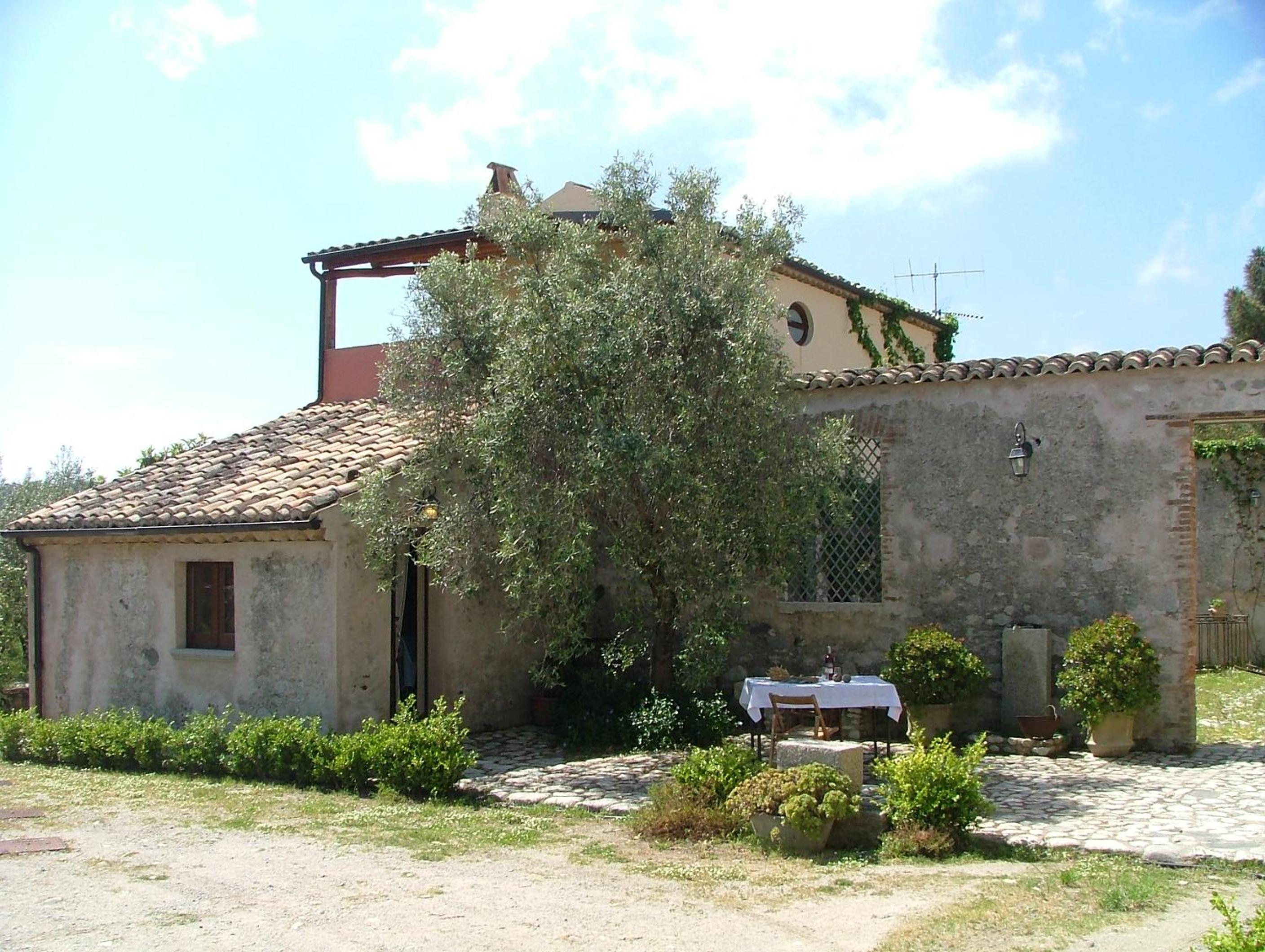 Photo 44