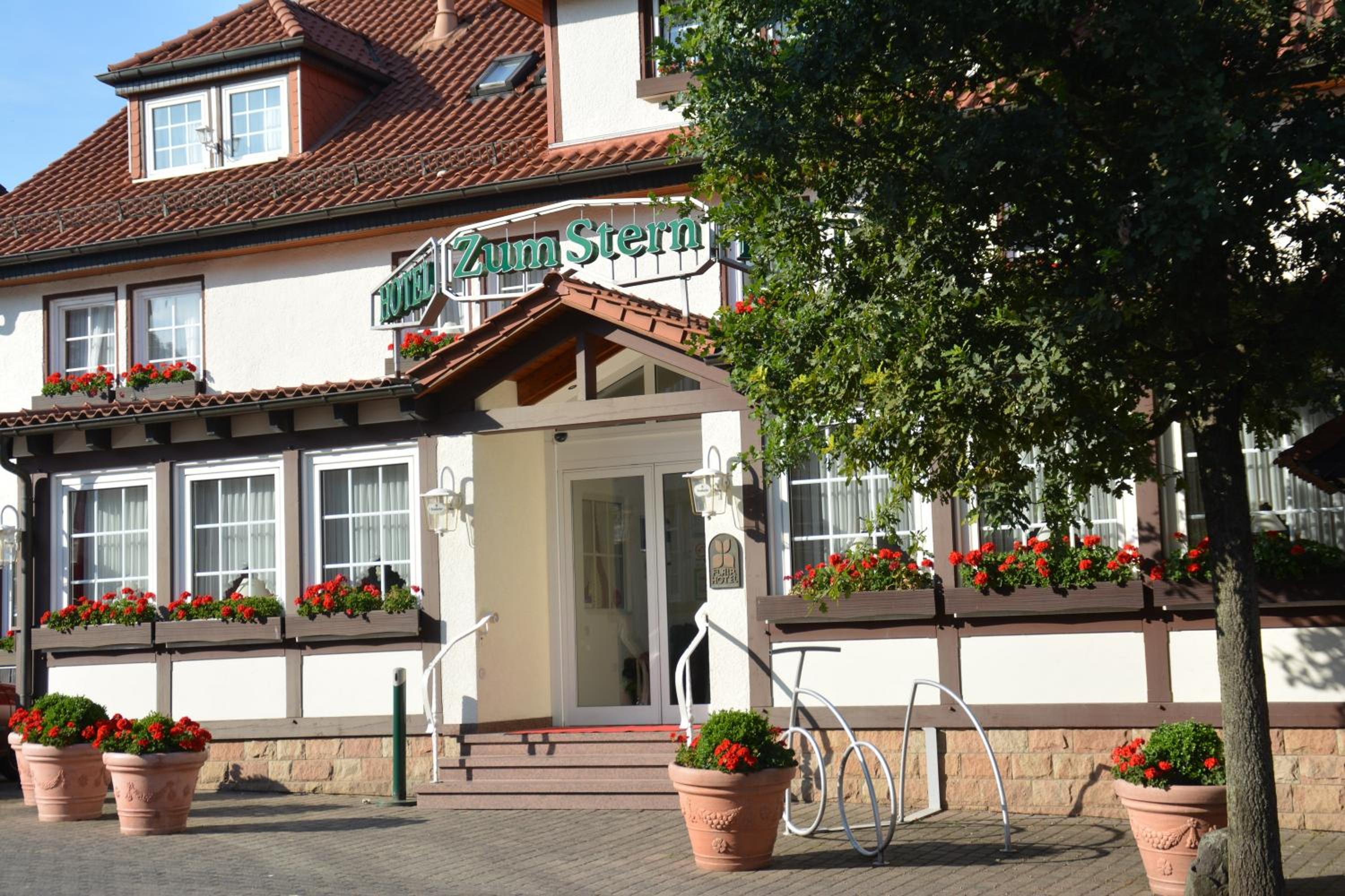 Hotel Parkhotel zum Stern - Image 1