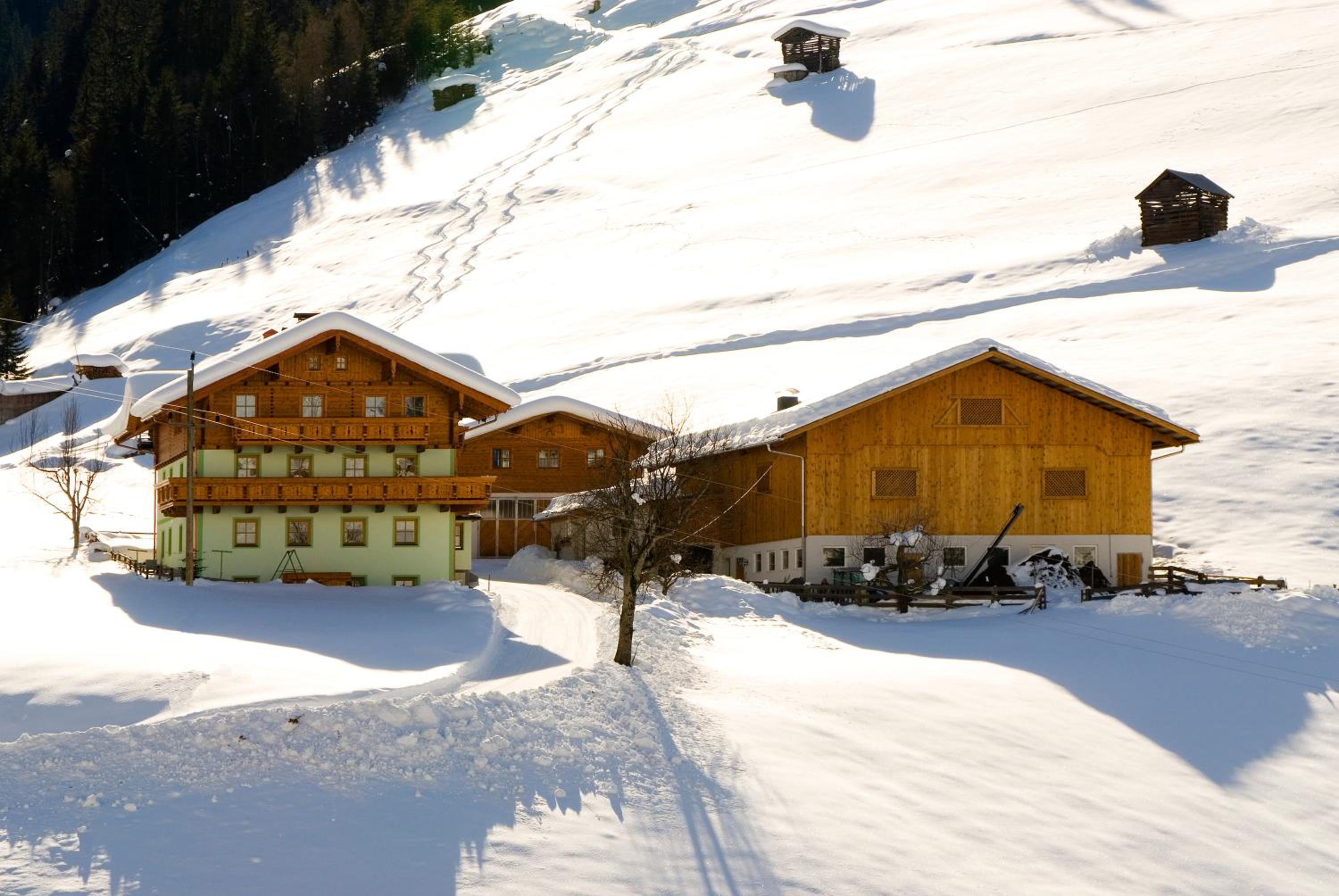 Kleinellmauhof