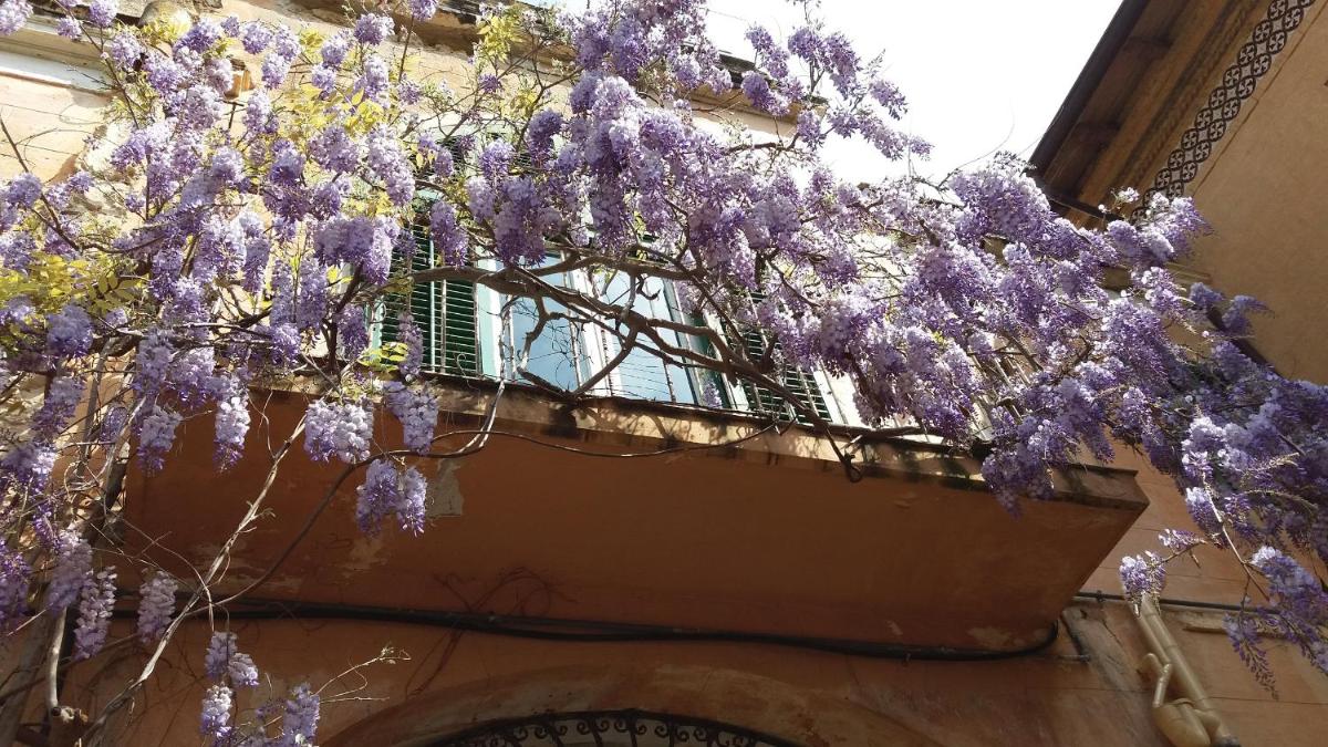 Casa Mimi view 3