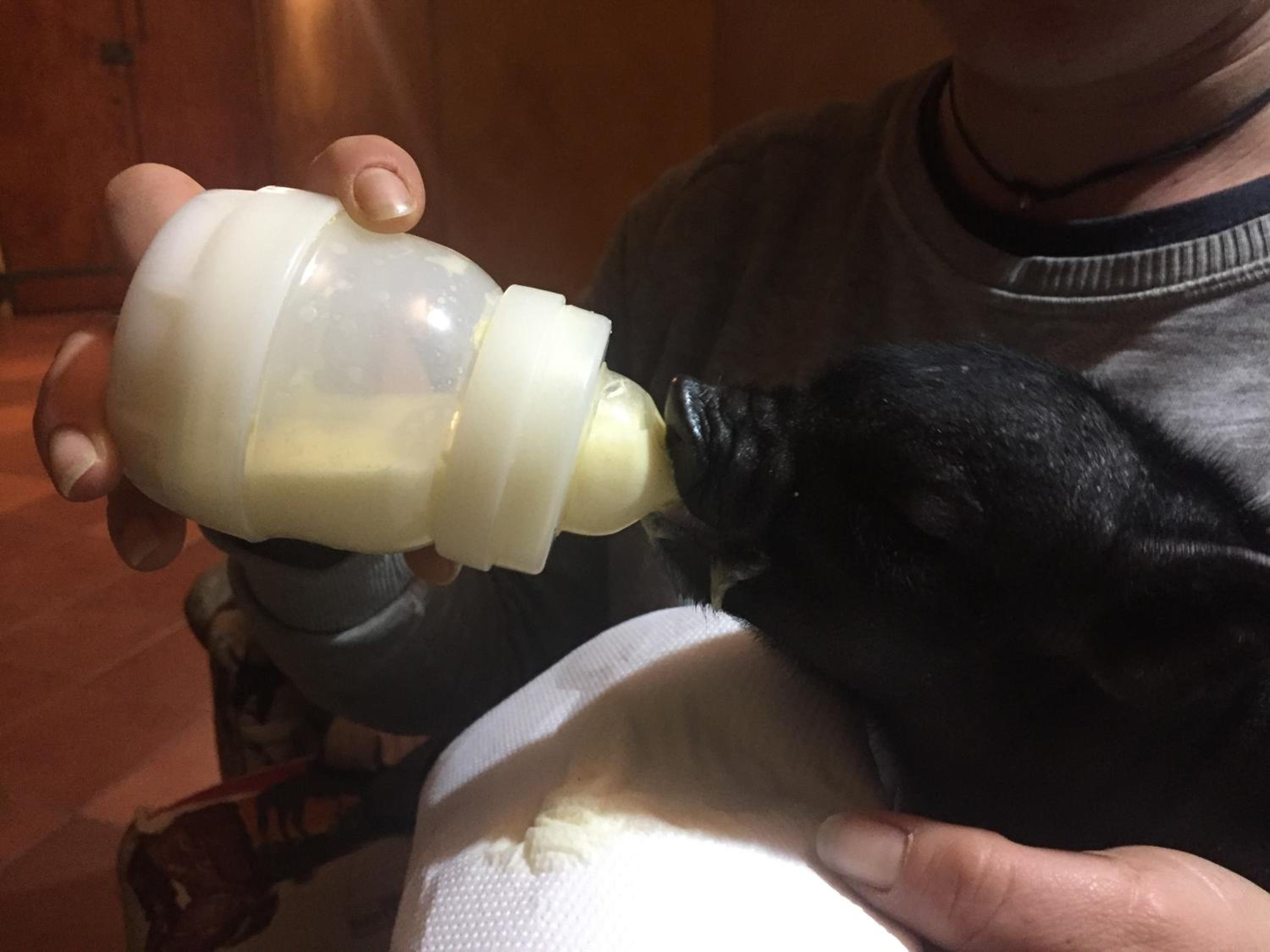 Cantina del Casale photo 4