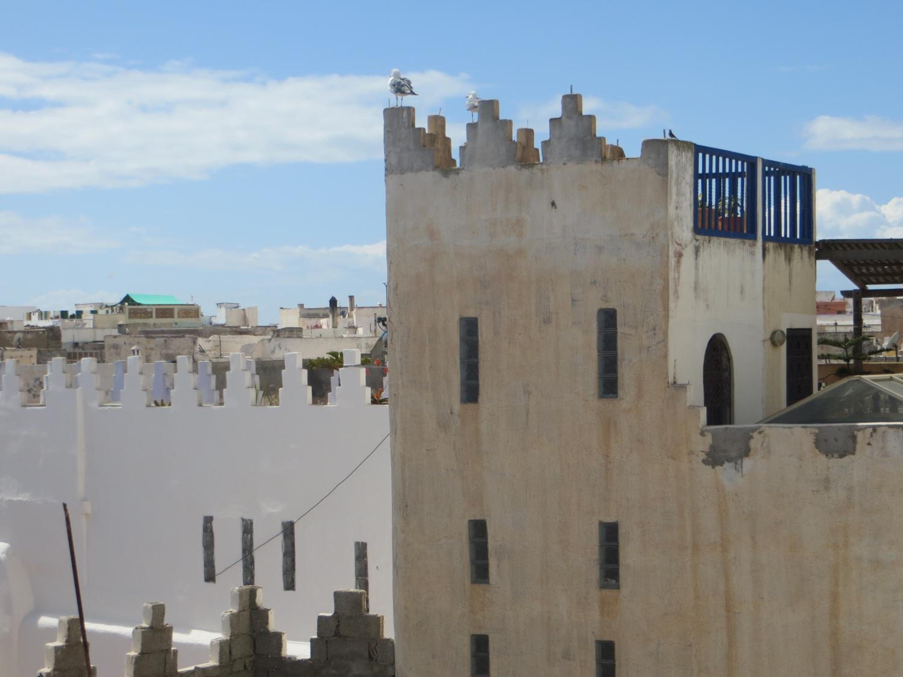 Riad Gloria — photo 36