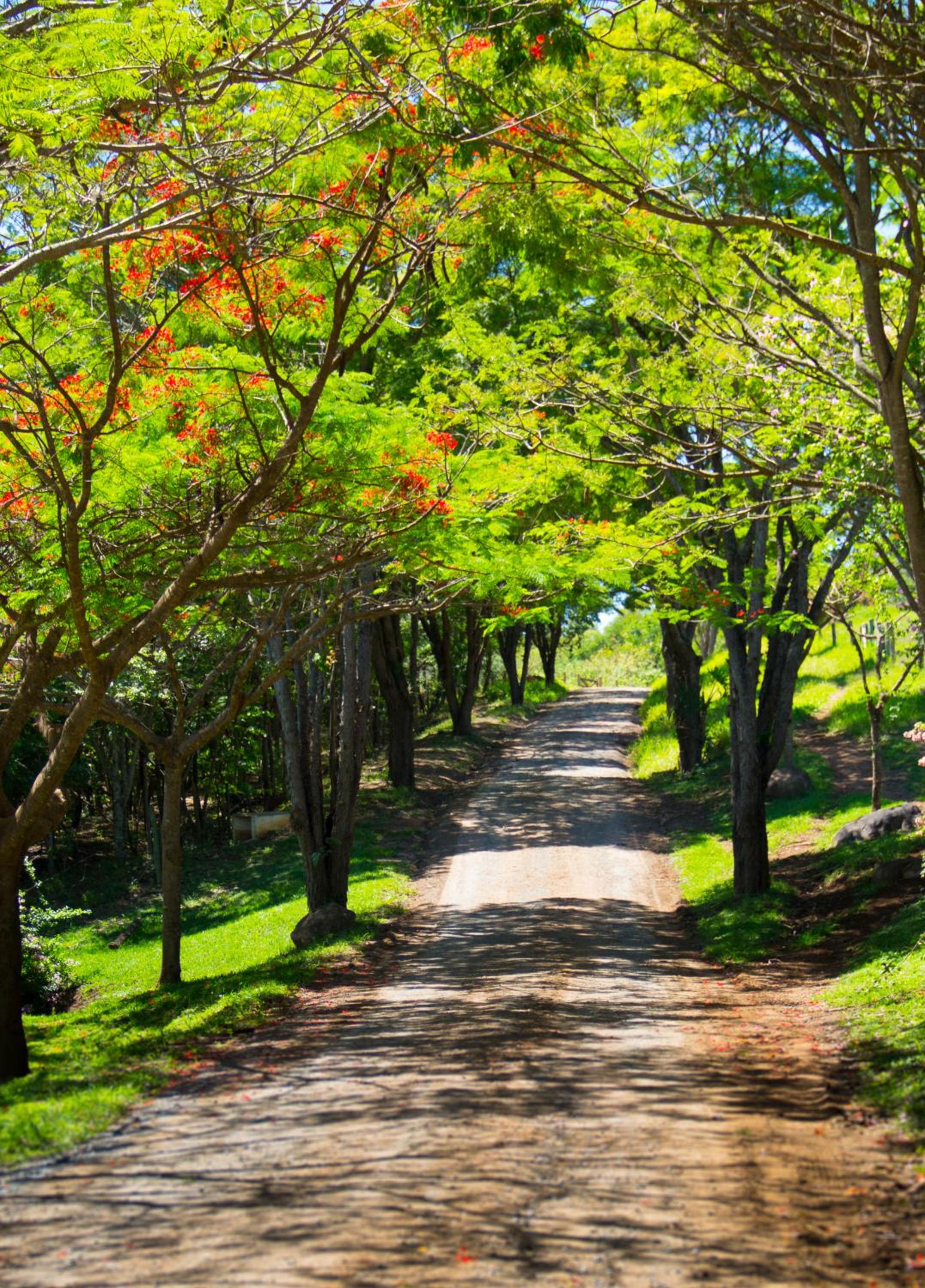 Fazenda Capoava