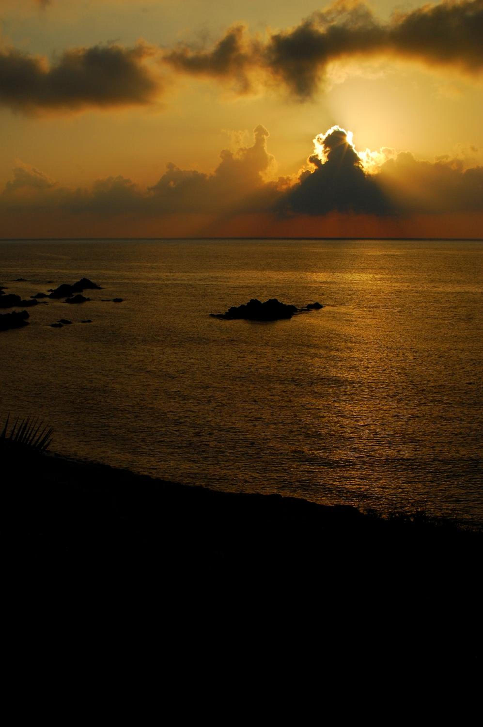 Photo 42