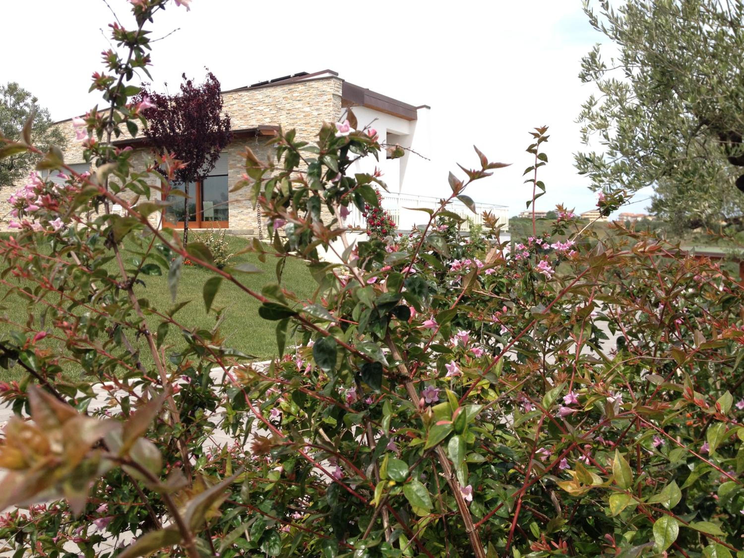 Gioia In Collina