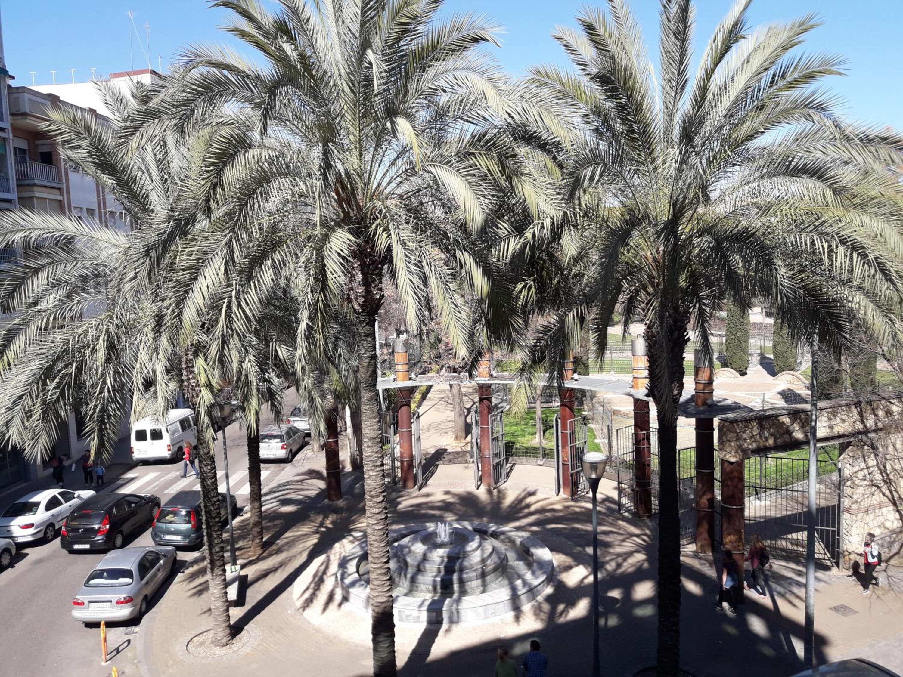 Apartamento Las 4 Palmeras