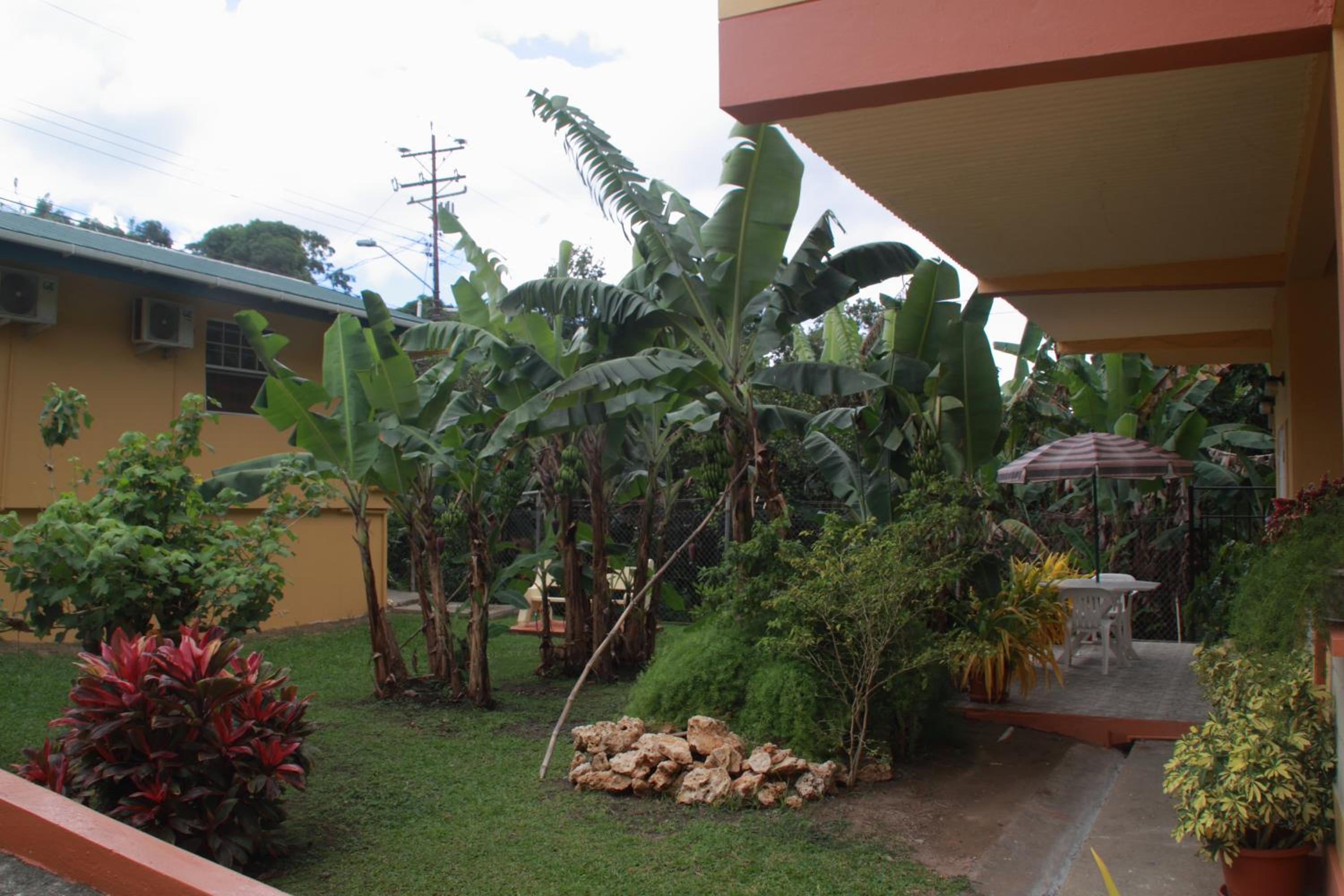 Photo 10