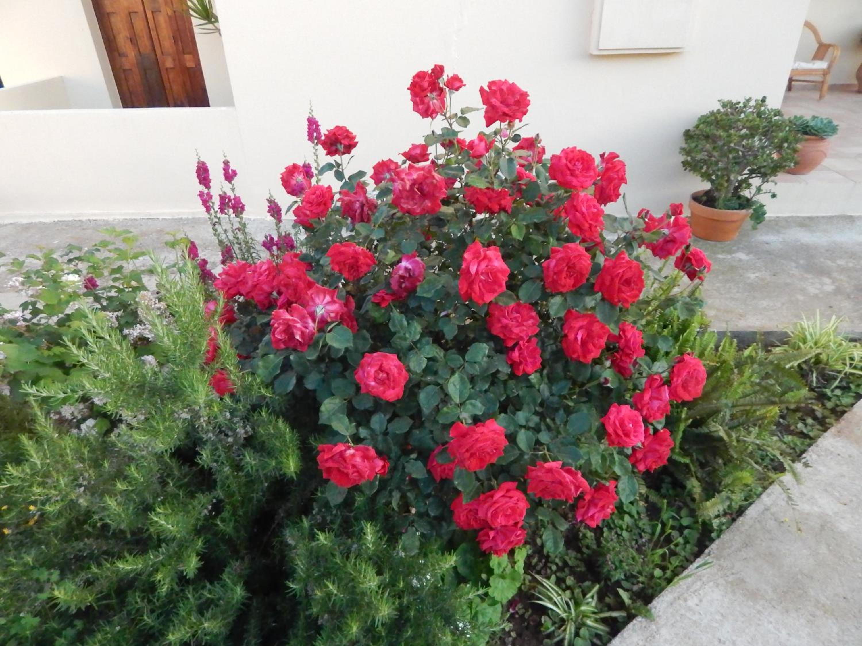 Photo 32