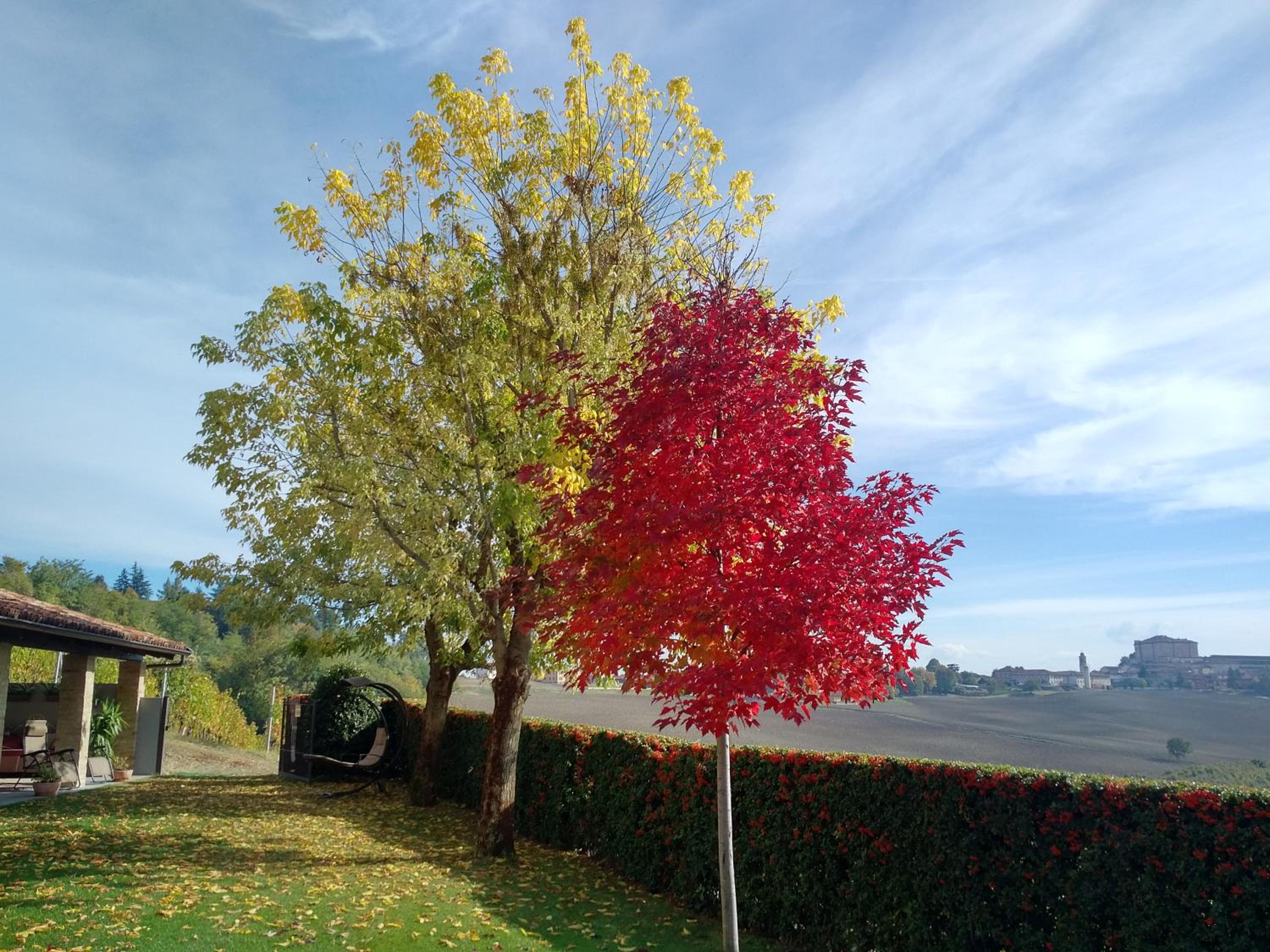 Cascina Cortine