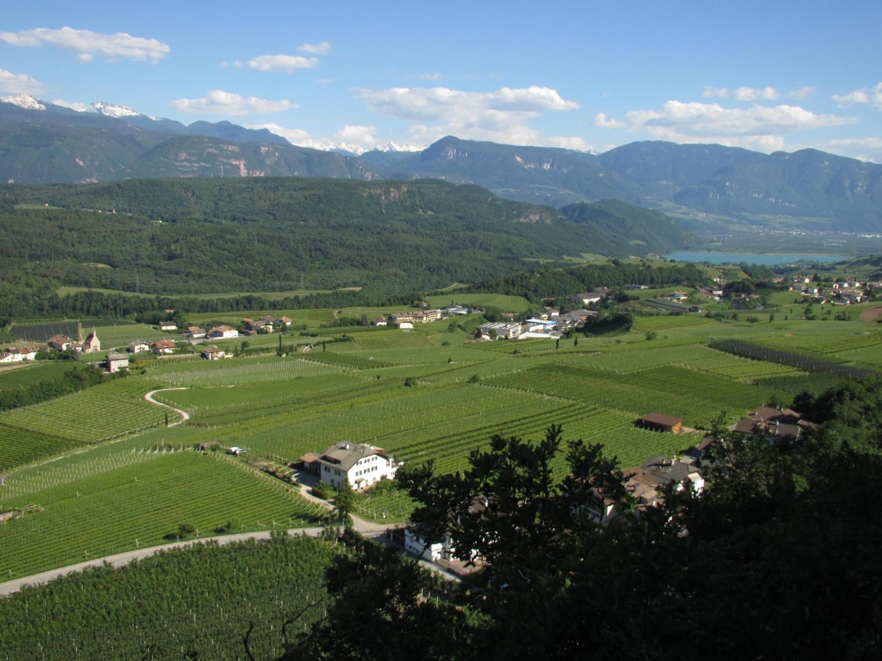 Photo 14