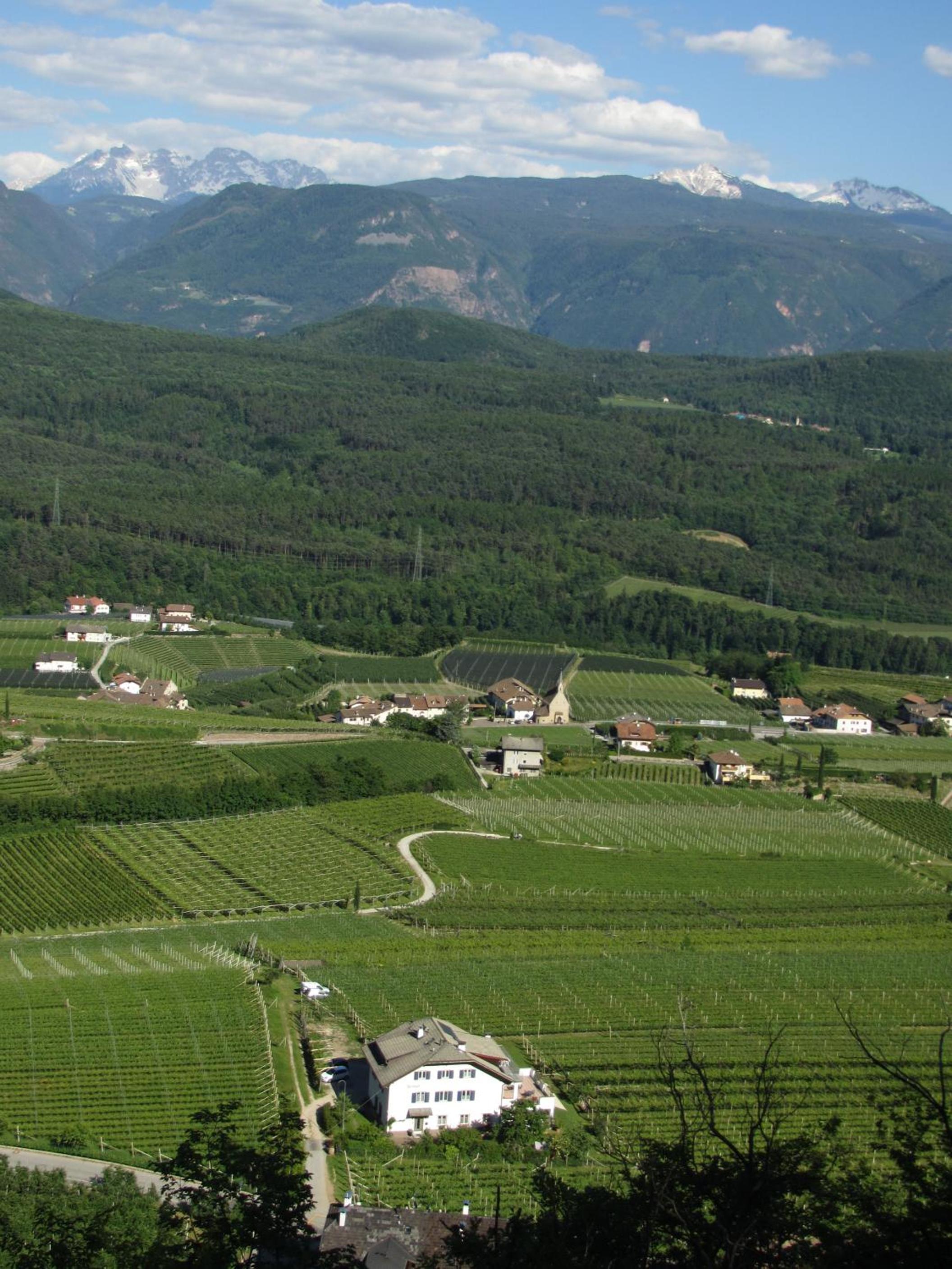 Photo 15