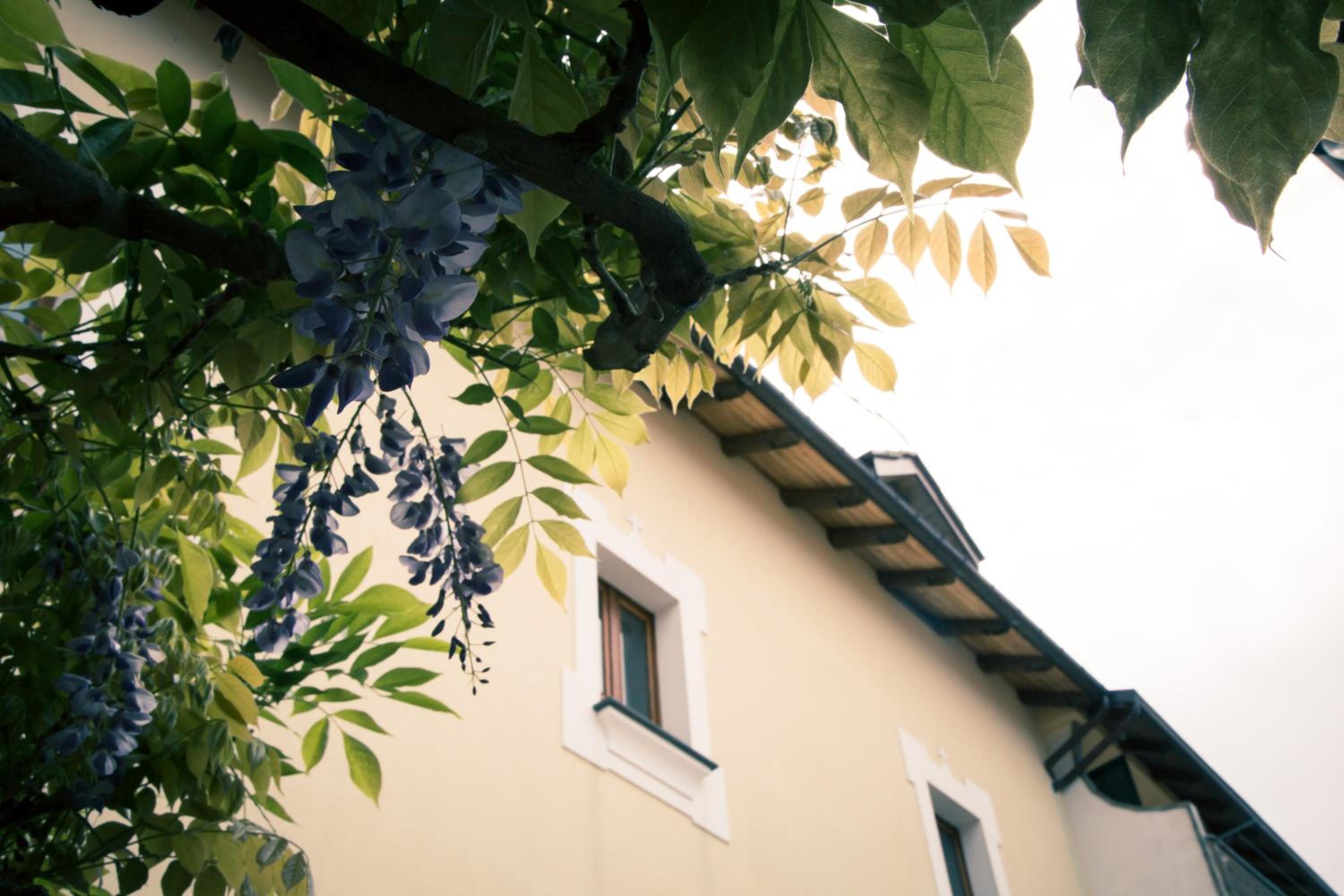 Palazzo Lauritano