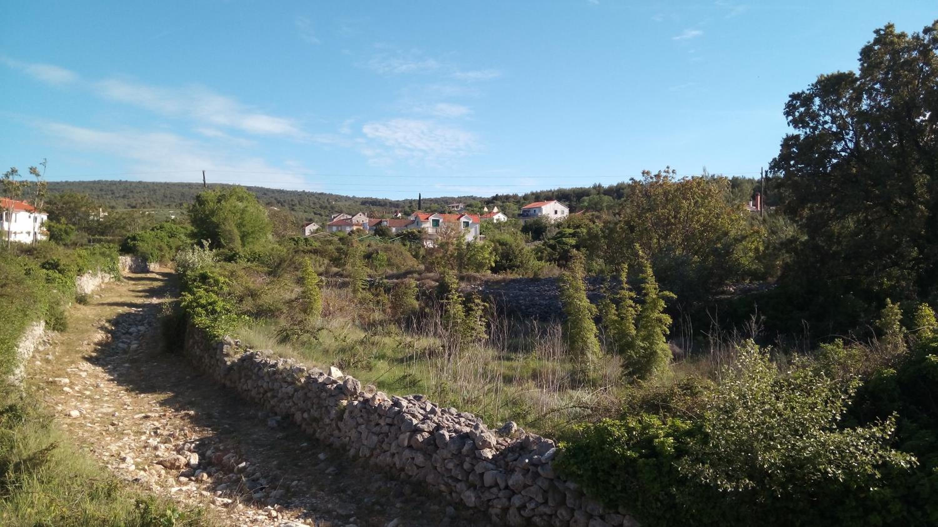 Photo 31