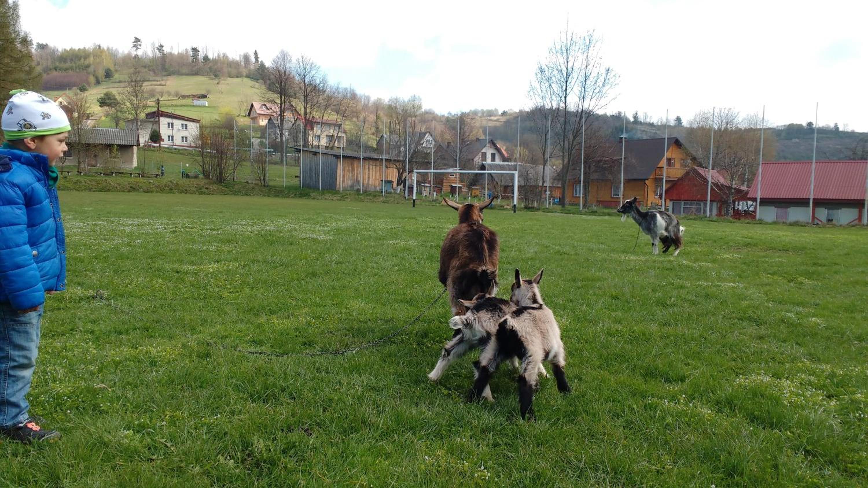 Photo 46