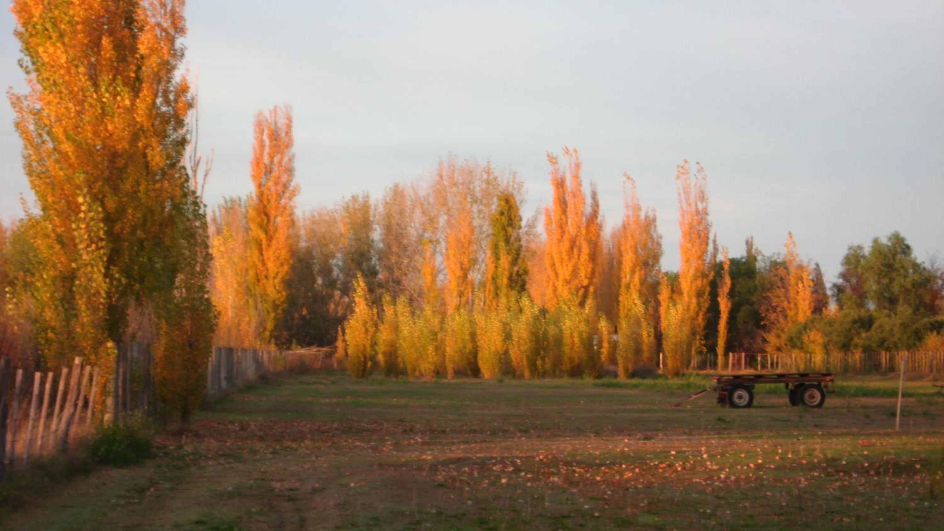 Posada del Viajero San Rafael