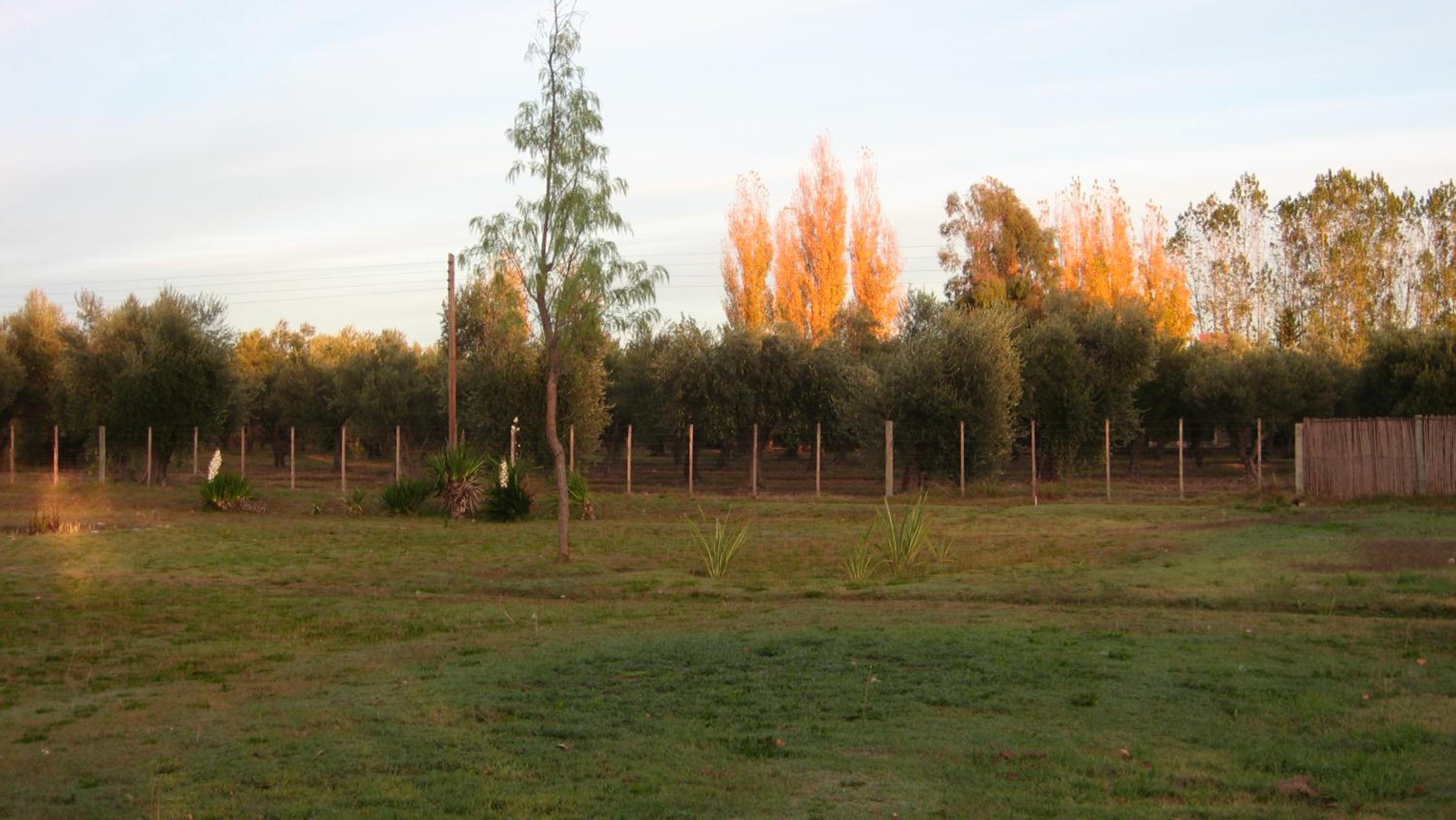 Posada del Viajero San Rafael