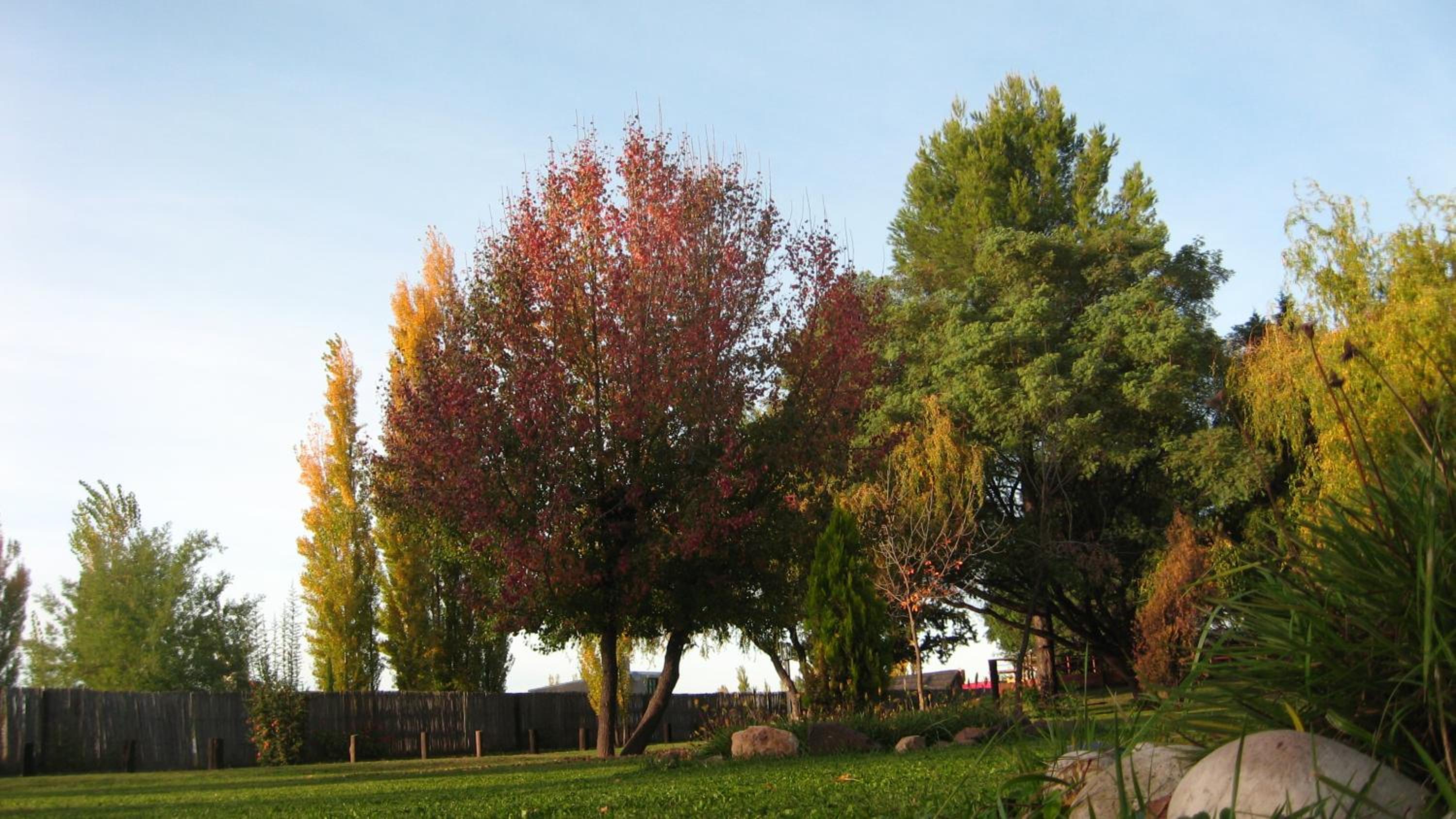 Posada del Viajero San Rafael
