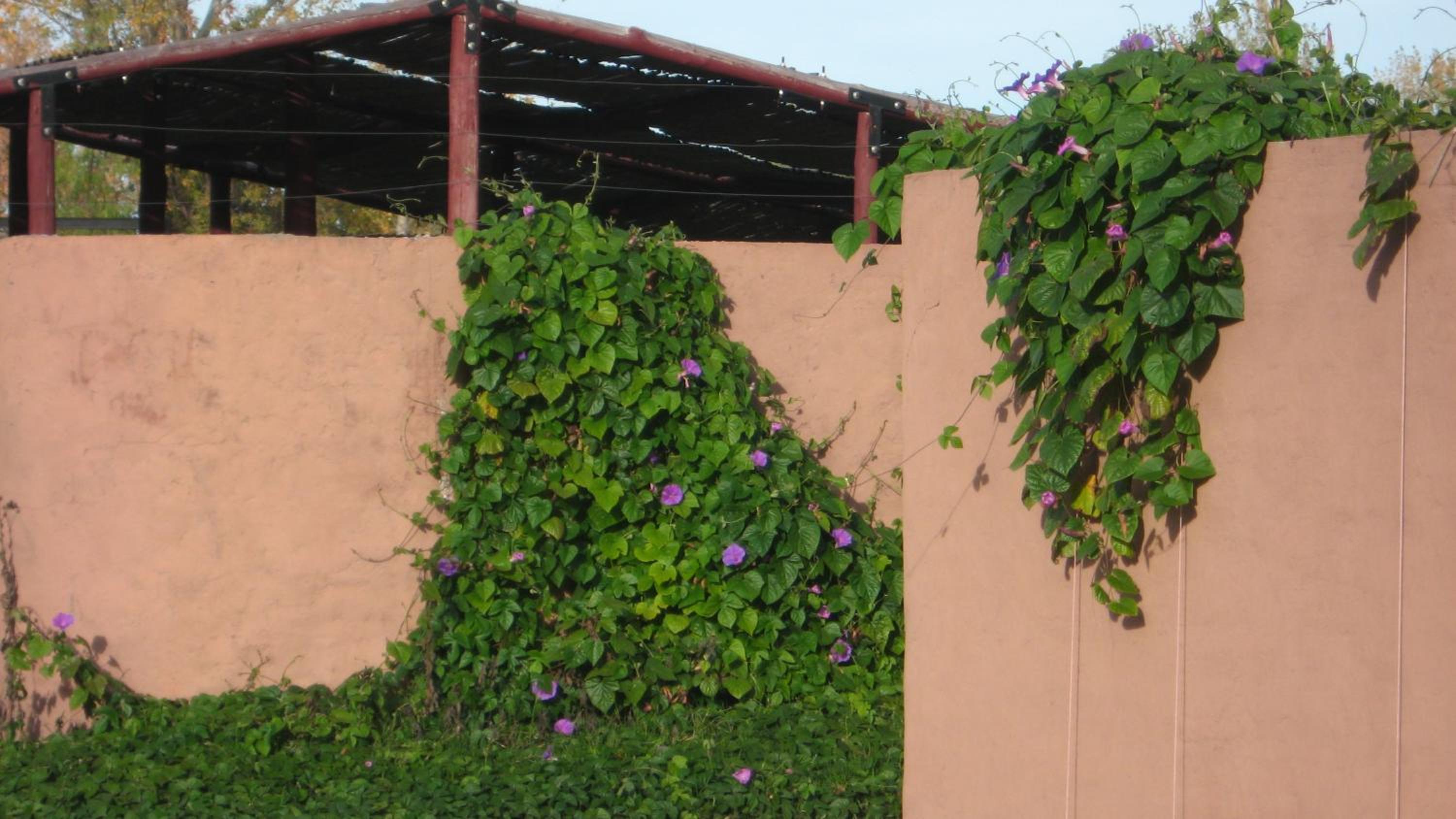 Posada del Viajero San Rafael