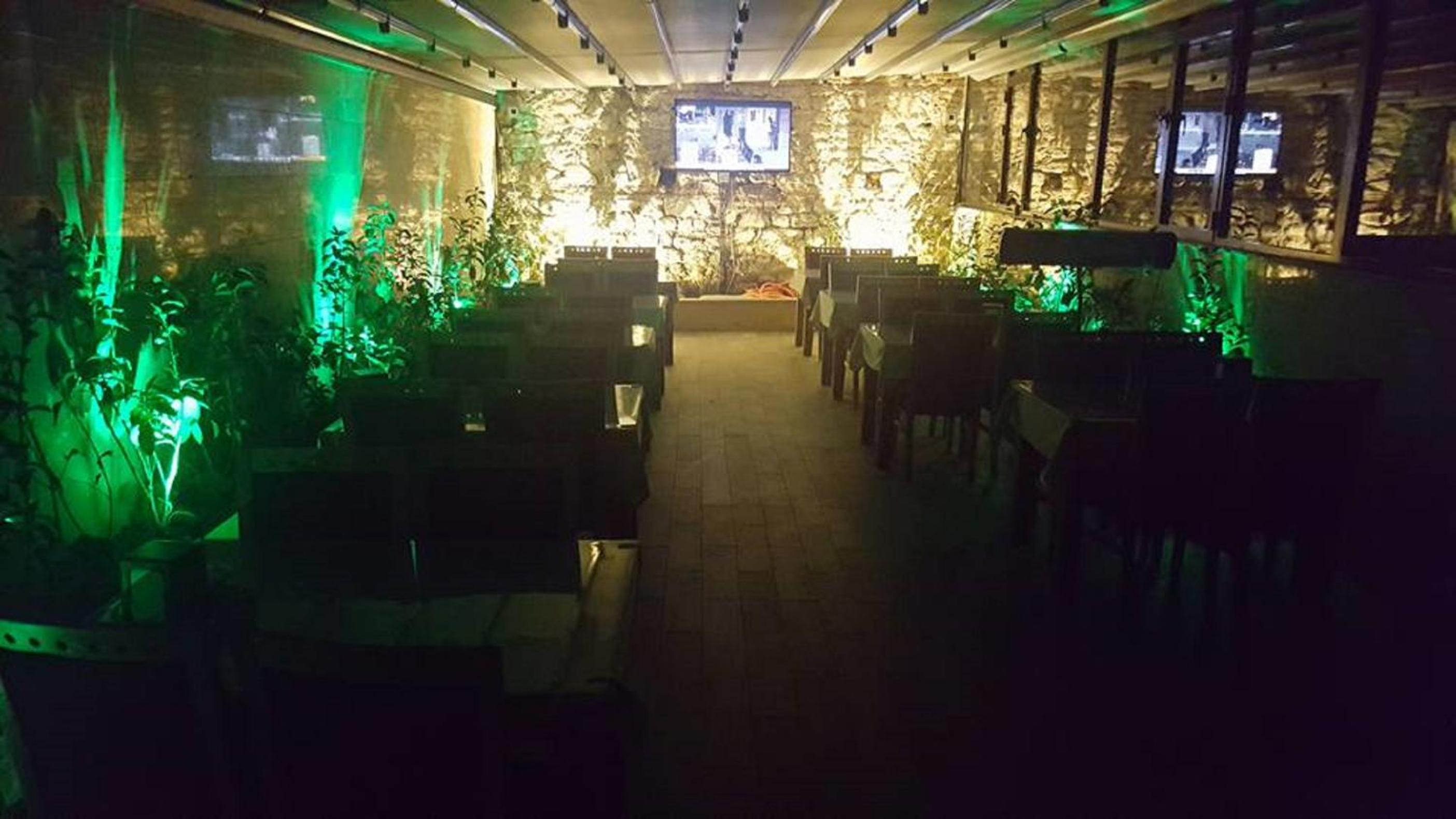 Sun Comfort Otel - Image 36