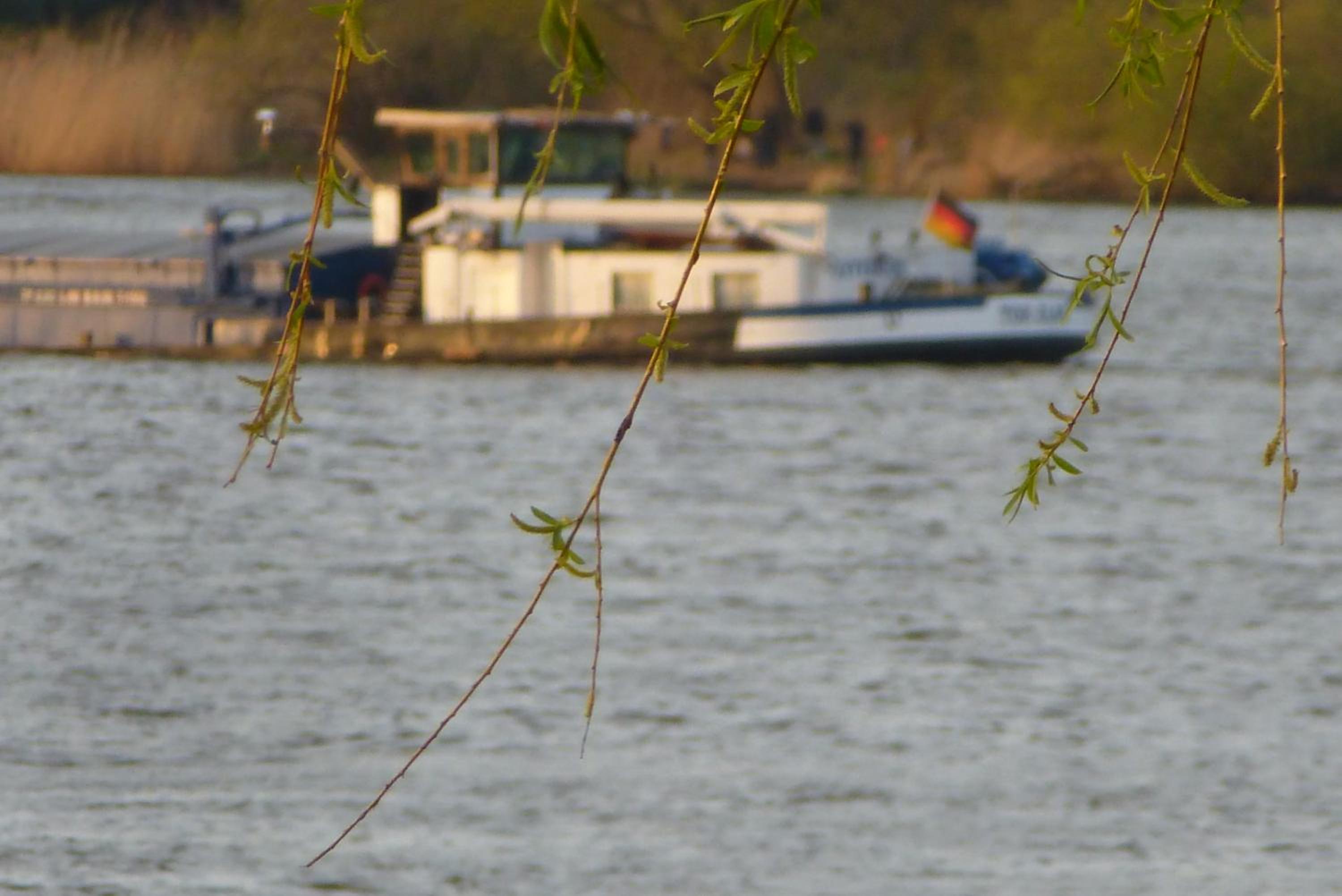 Photo 41