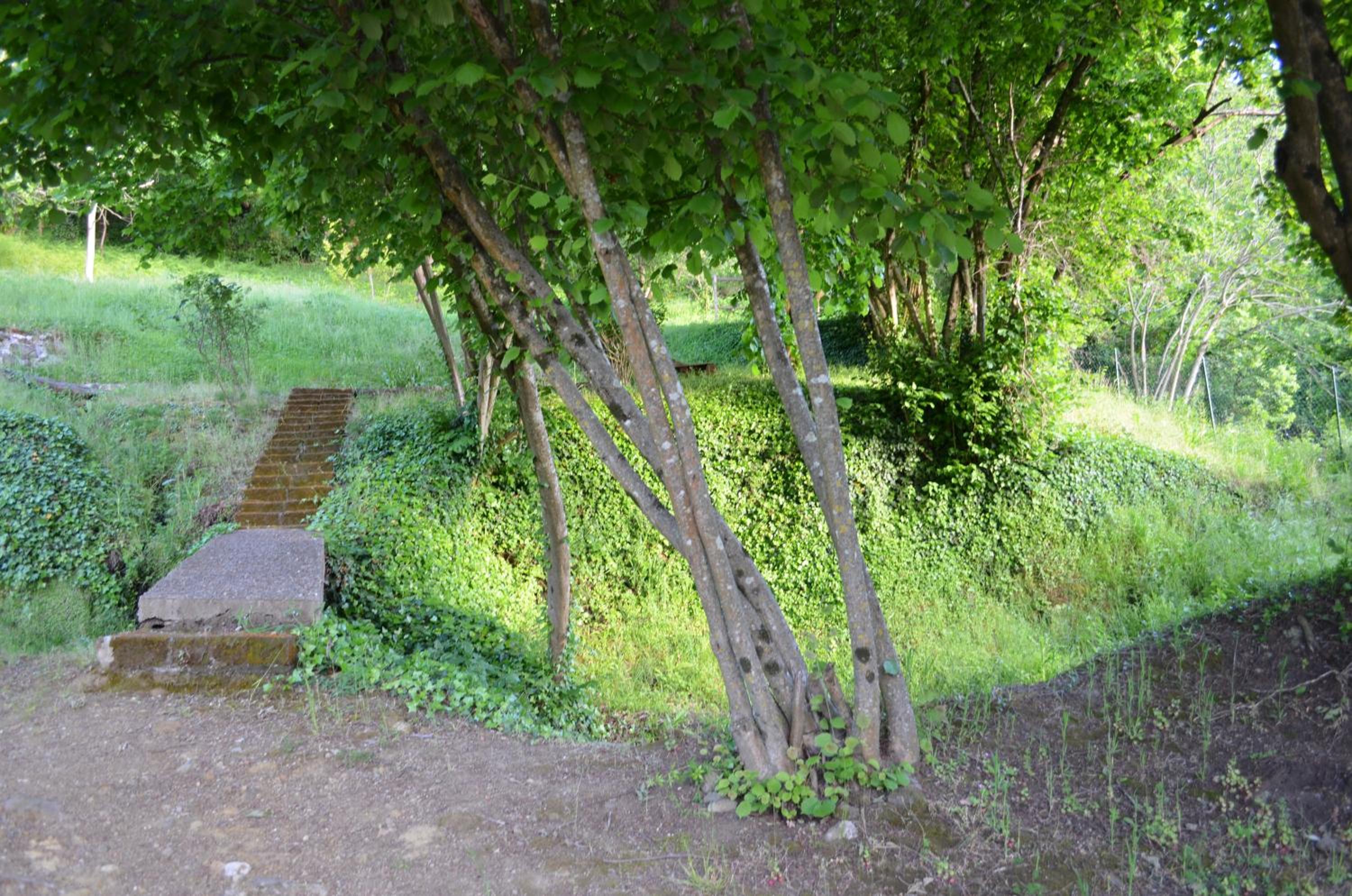 Photo 24