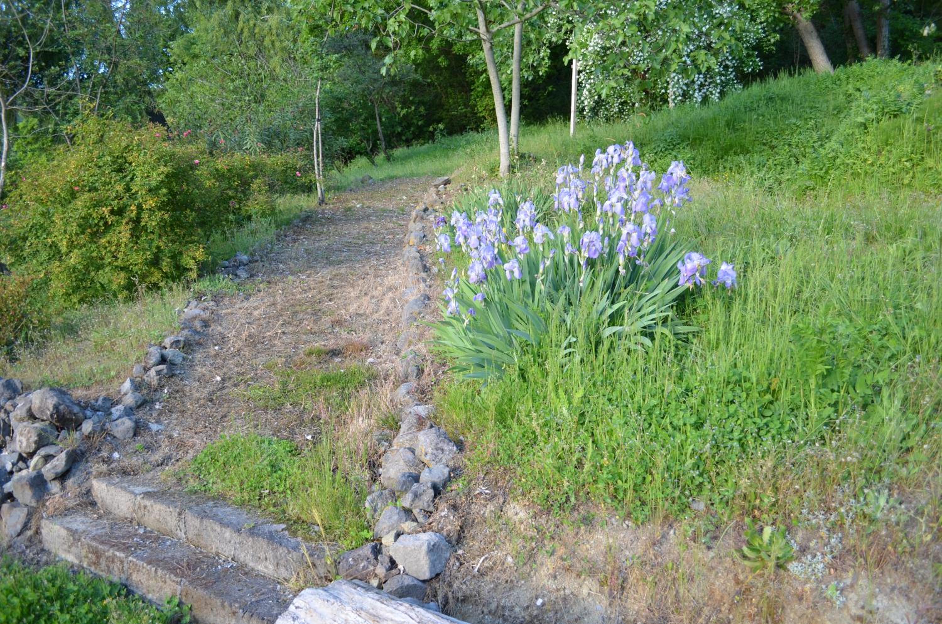 Photo 27