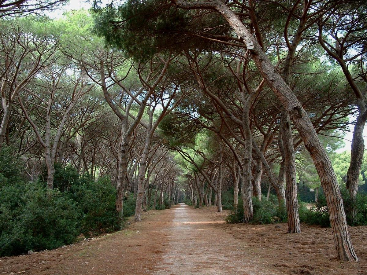 Photo 44