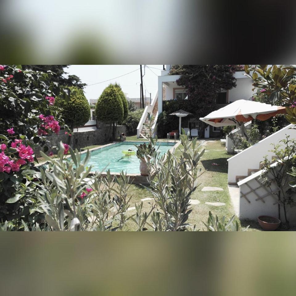 Photo 16