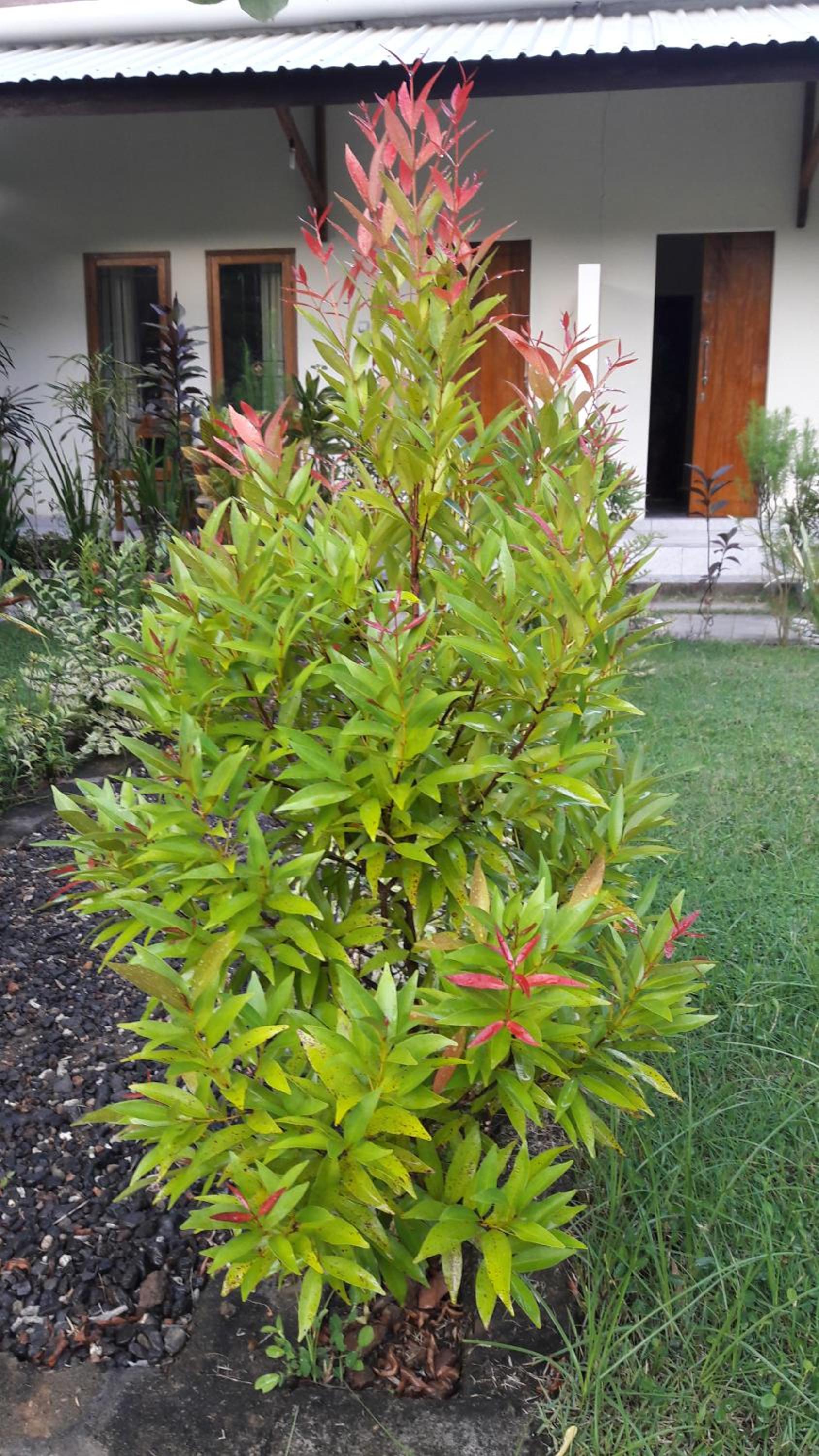 Photo 15