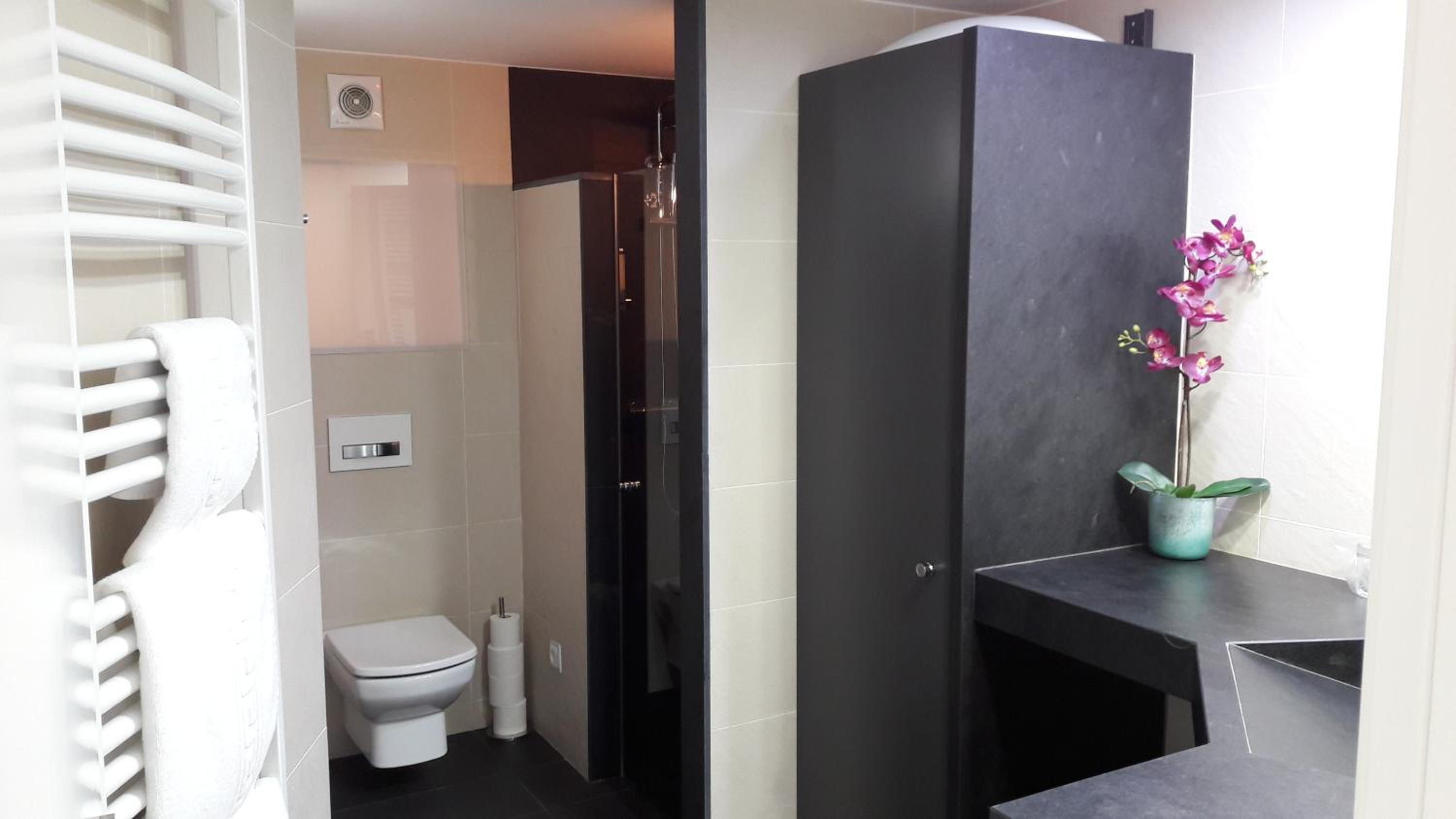 Apartaments y Habitacions Entre Volcans