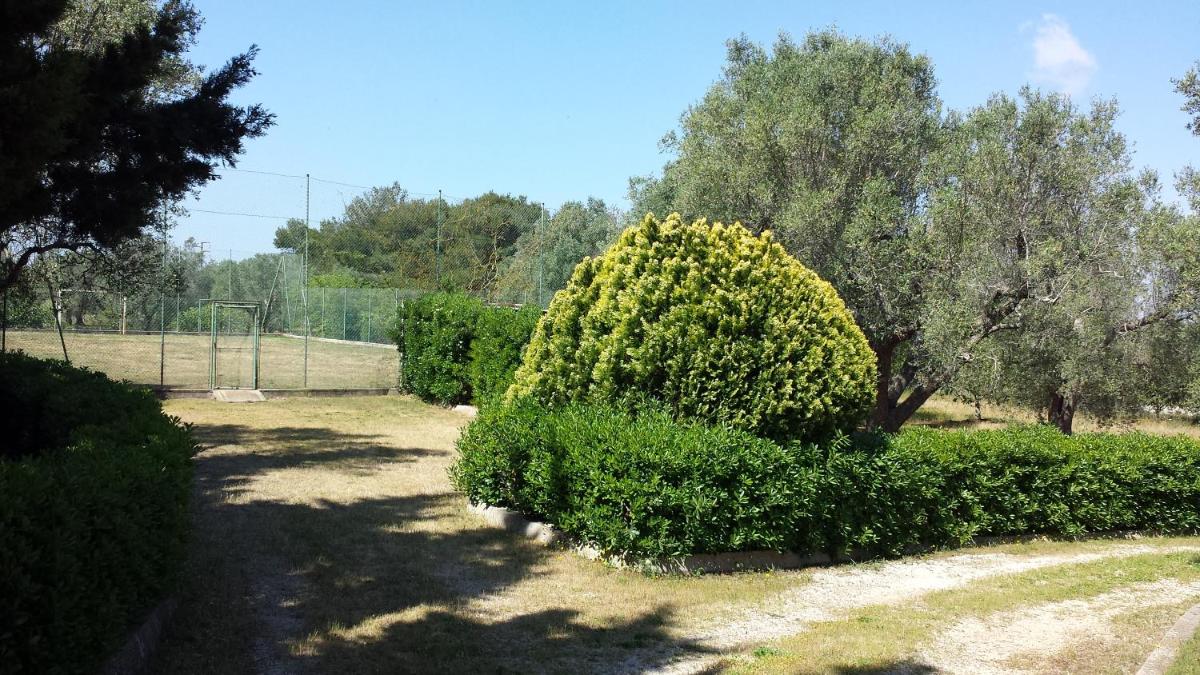 Photo 32