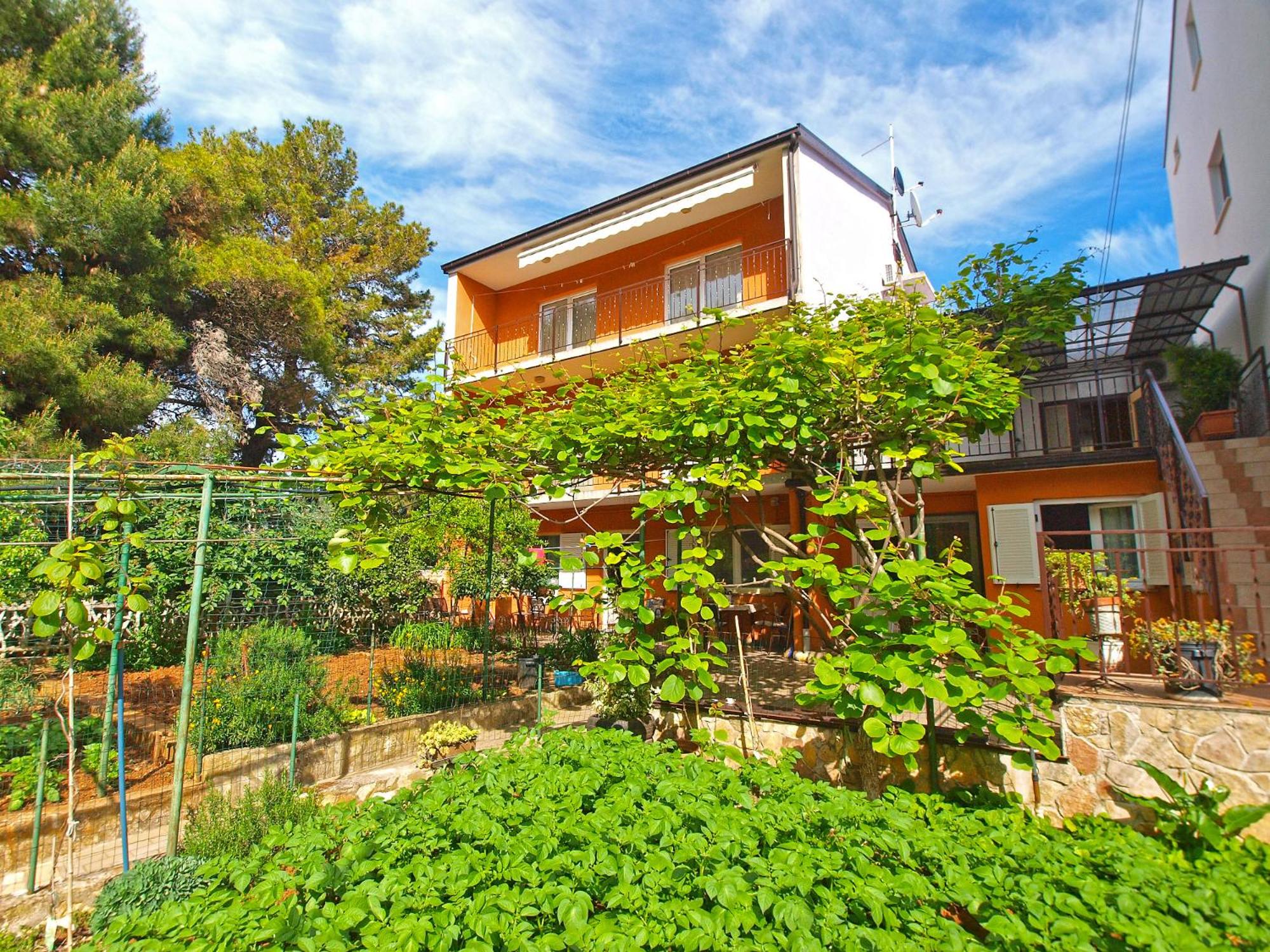 Apartments Branko 1348 view 2