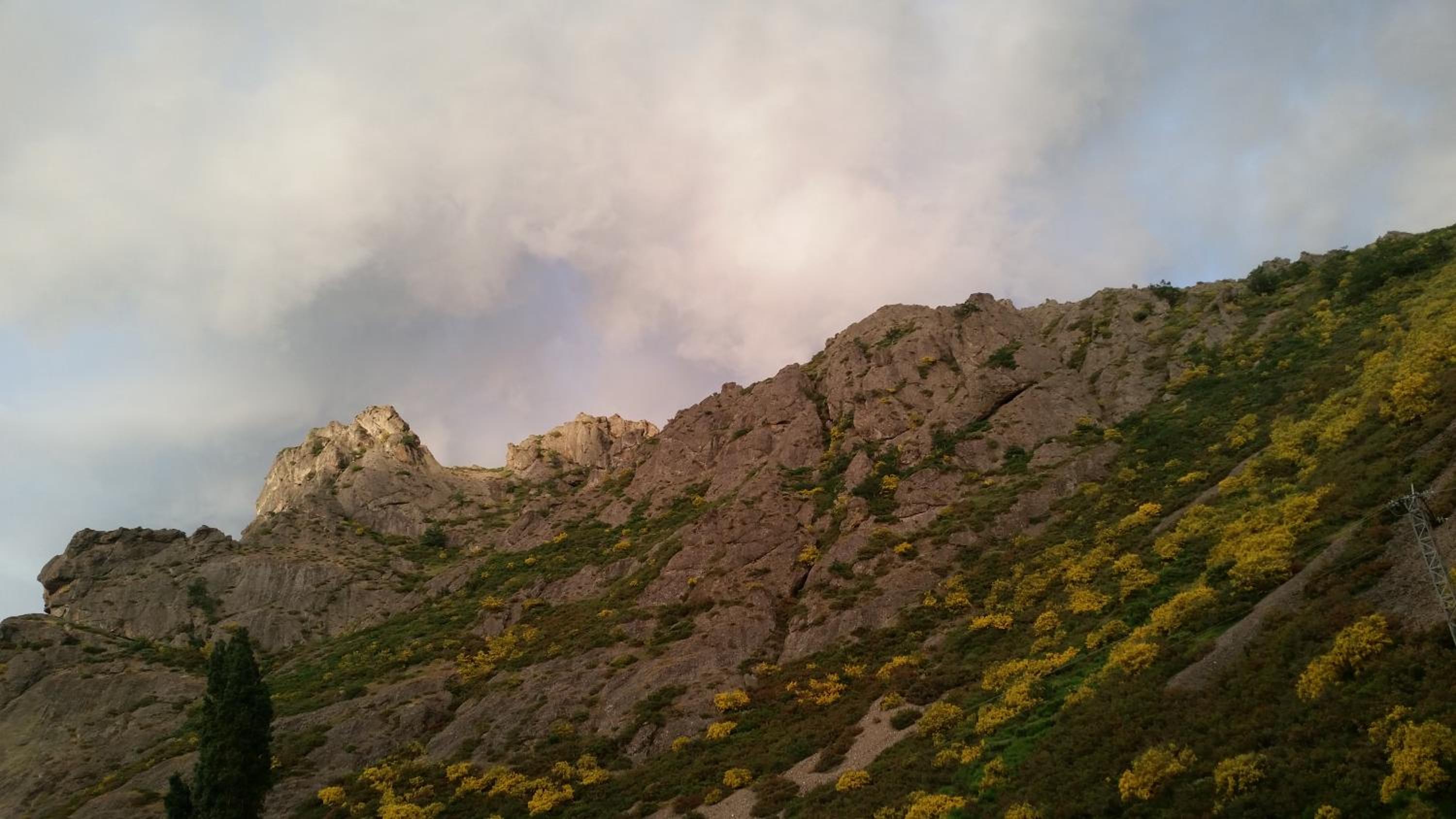 Photo 26