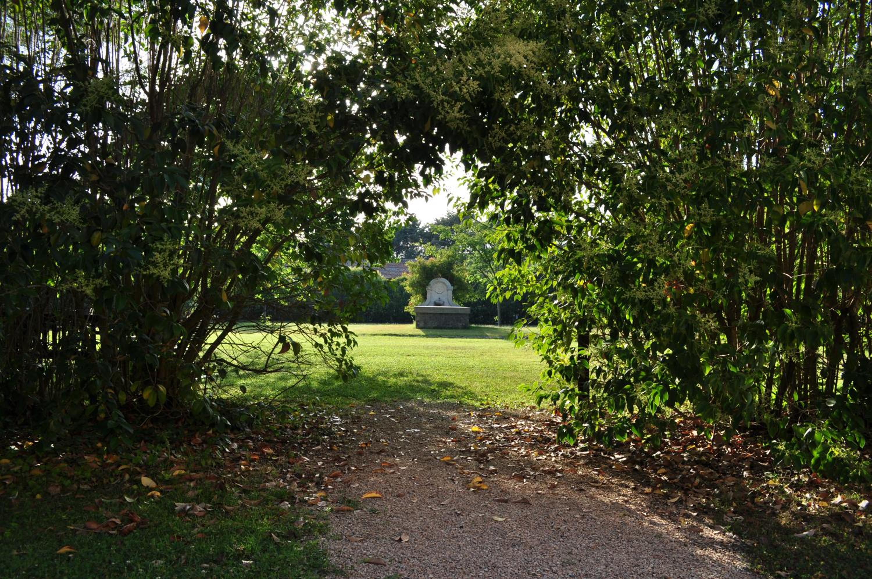 Photo 28