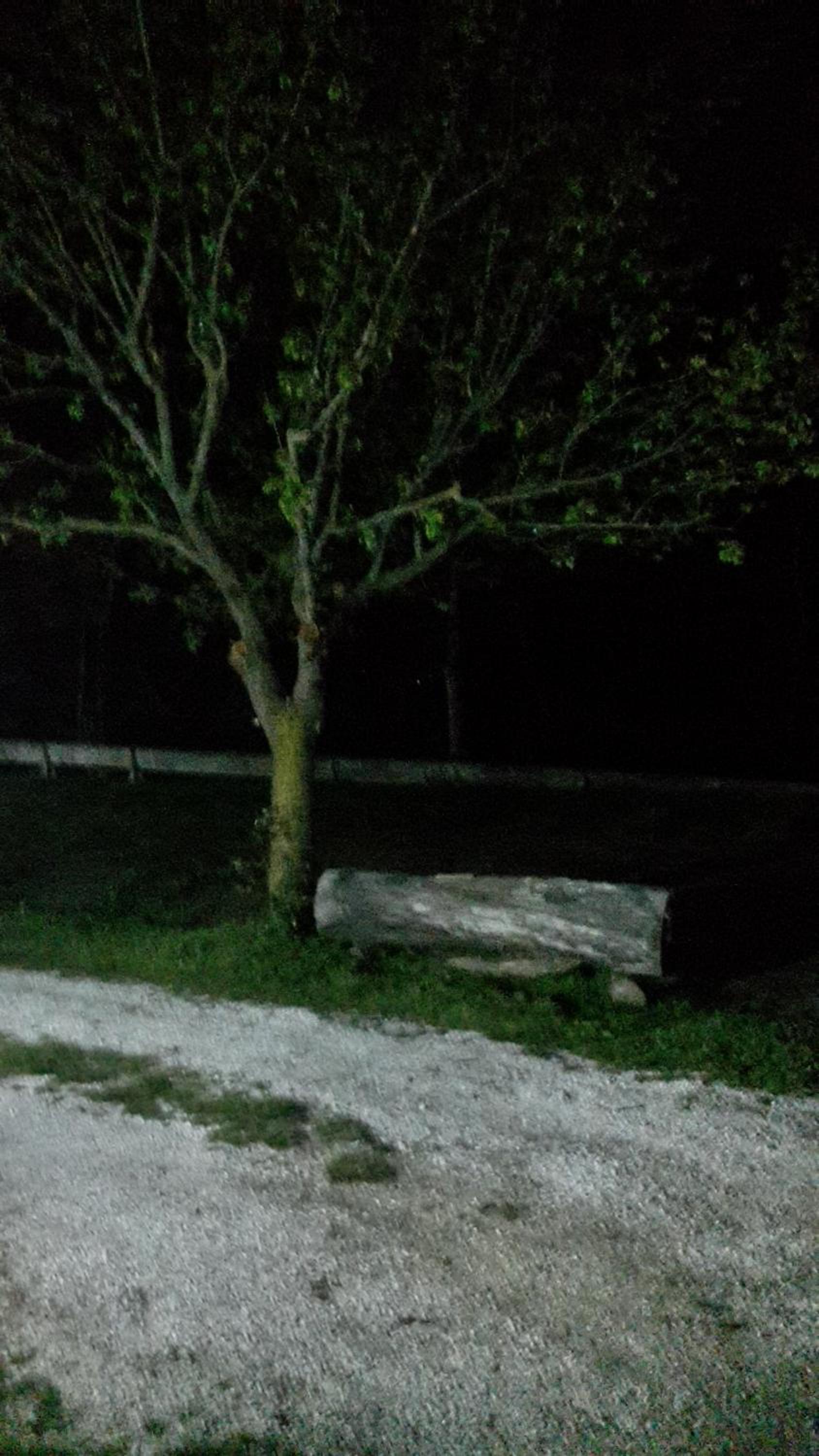 Agriturismo San Marco