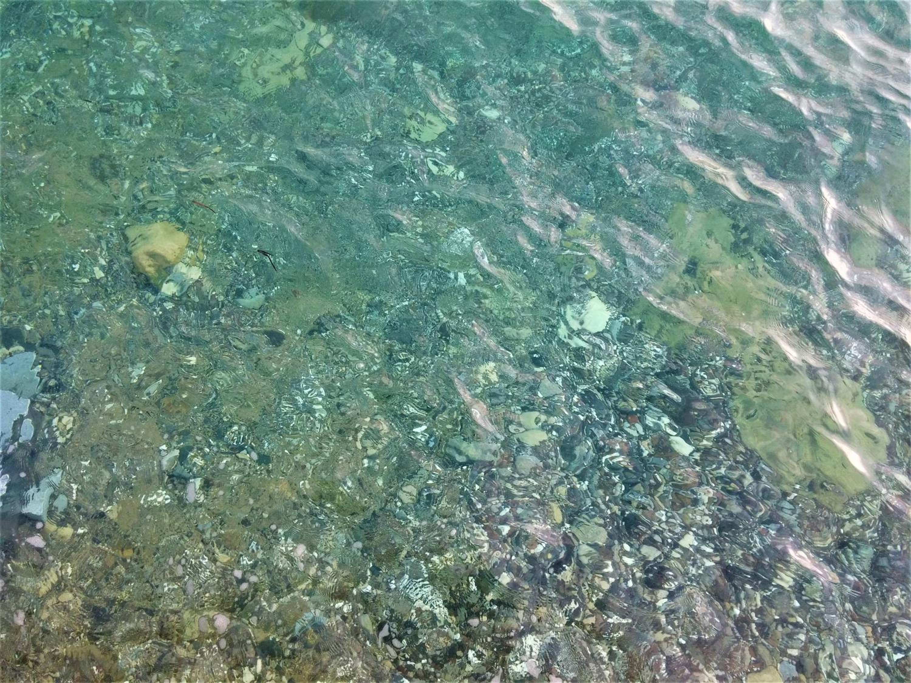 Photo 52