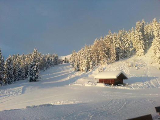 Gasthaus Furlhütte view 3